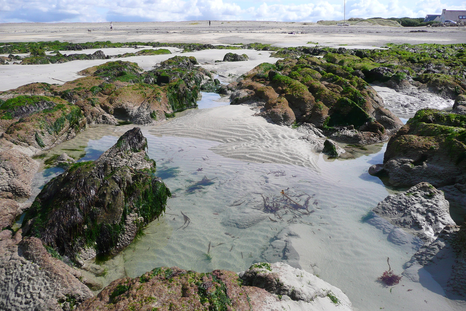 Photo France Plouinec 2008-07 34