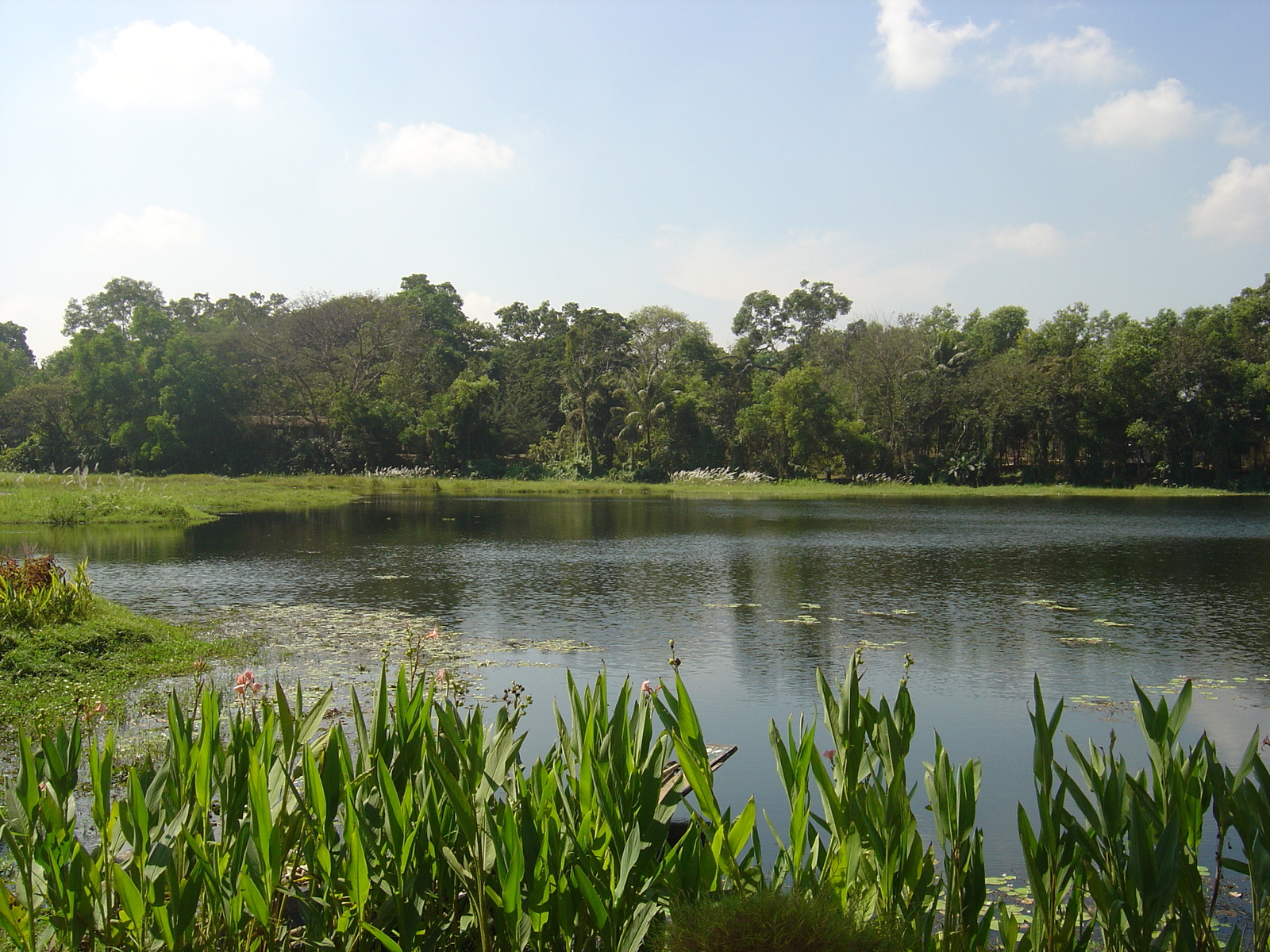 Photo Birmanie (Myanmar) Rangoun Hotel Dusit Inya Lake 2005-01 20