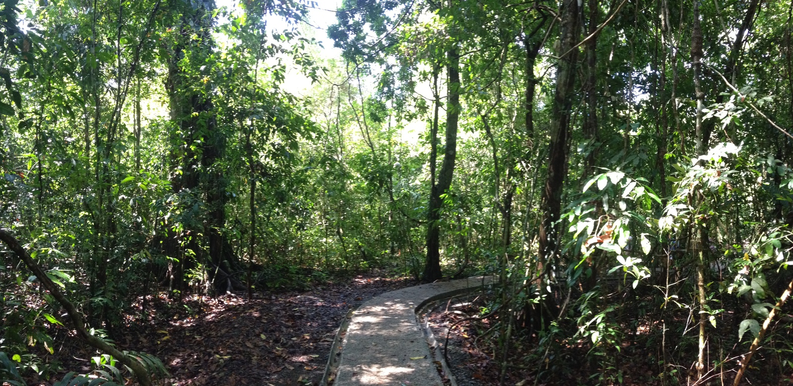 Photo Costa Rica Parc Manuel Antonio 2015-03 82