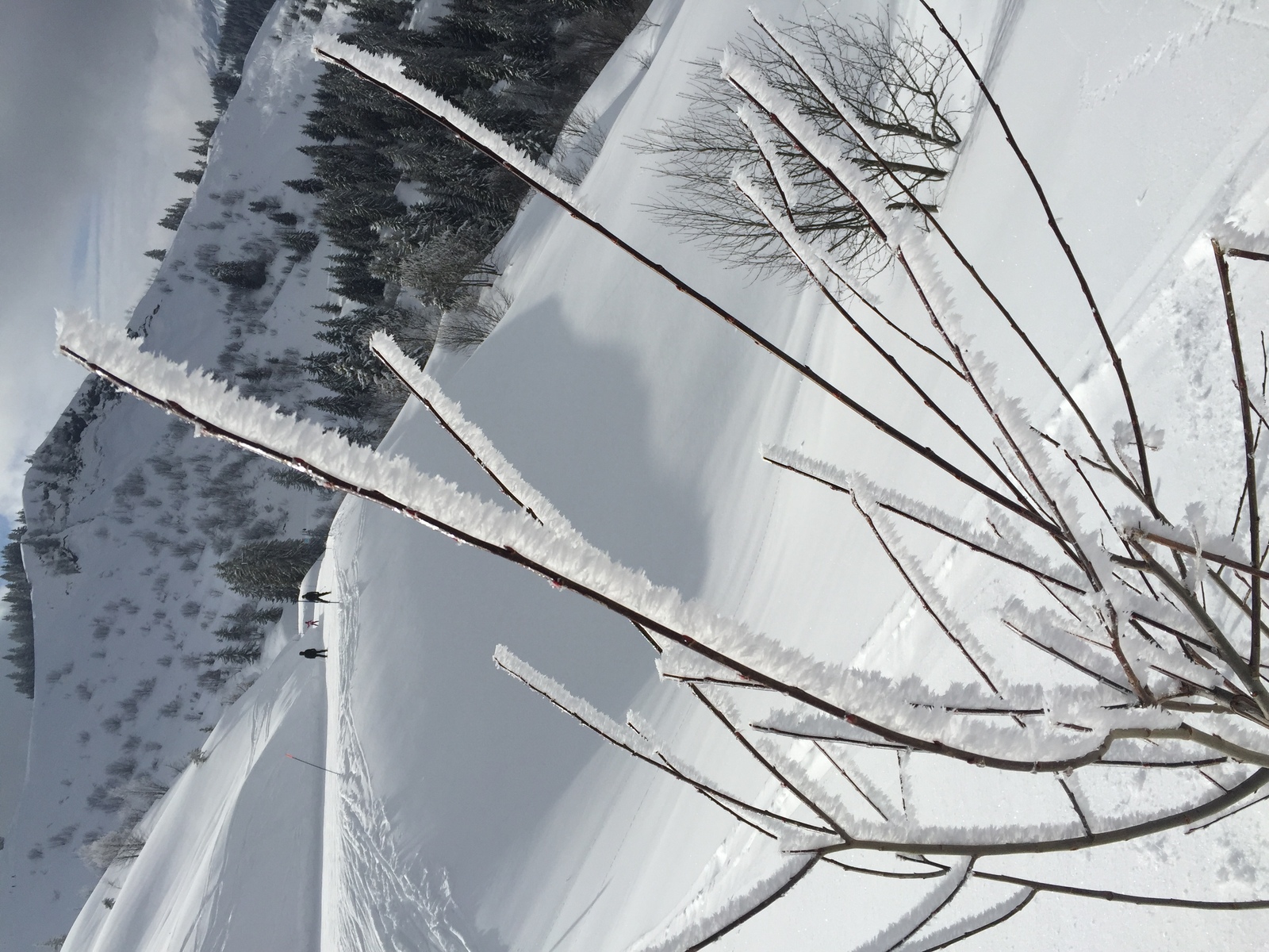 Photo France Megève 2016-02 59