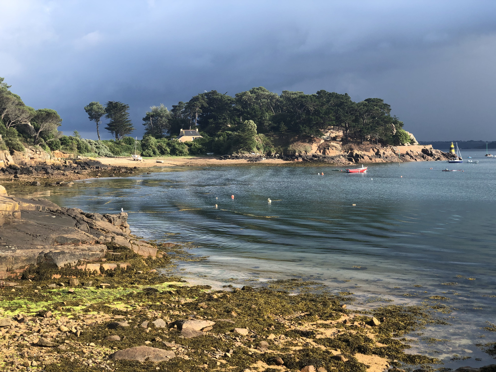 Photo France Île de Bréhat 2020-06 32