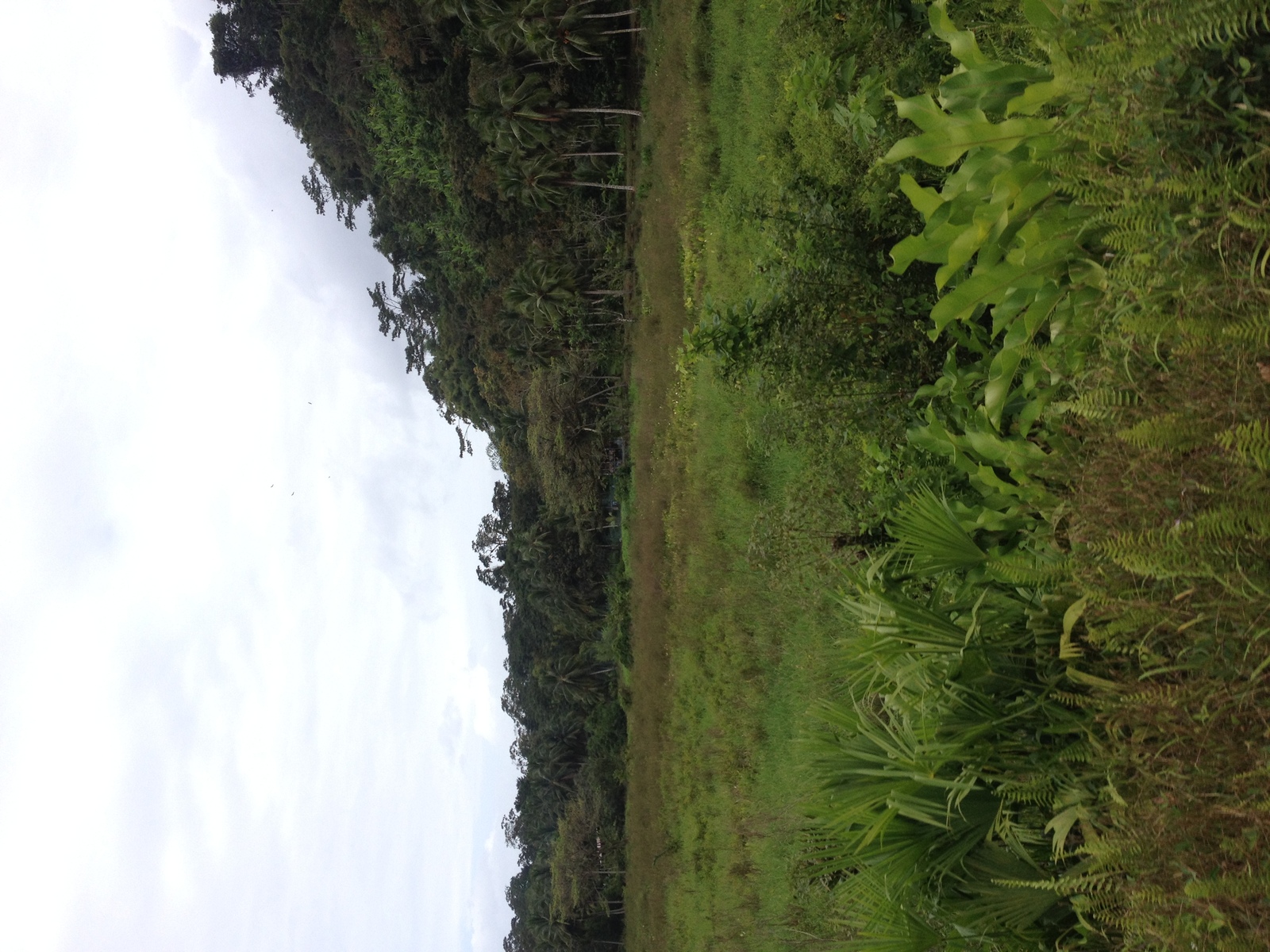 Photo Panama David à Bocas del toro 2015-03 96