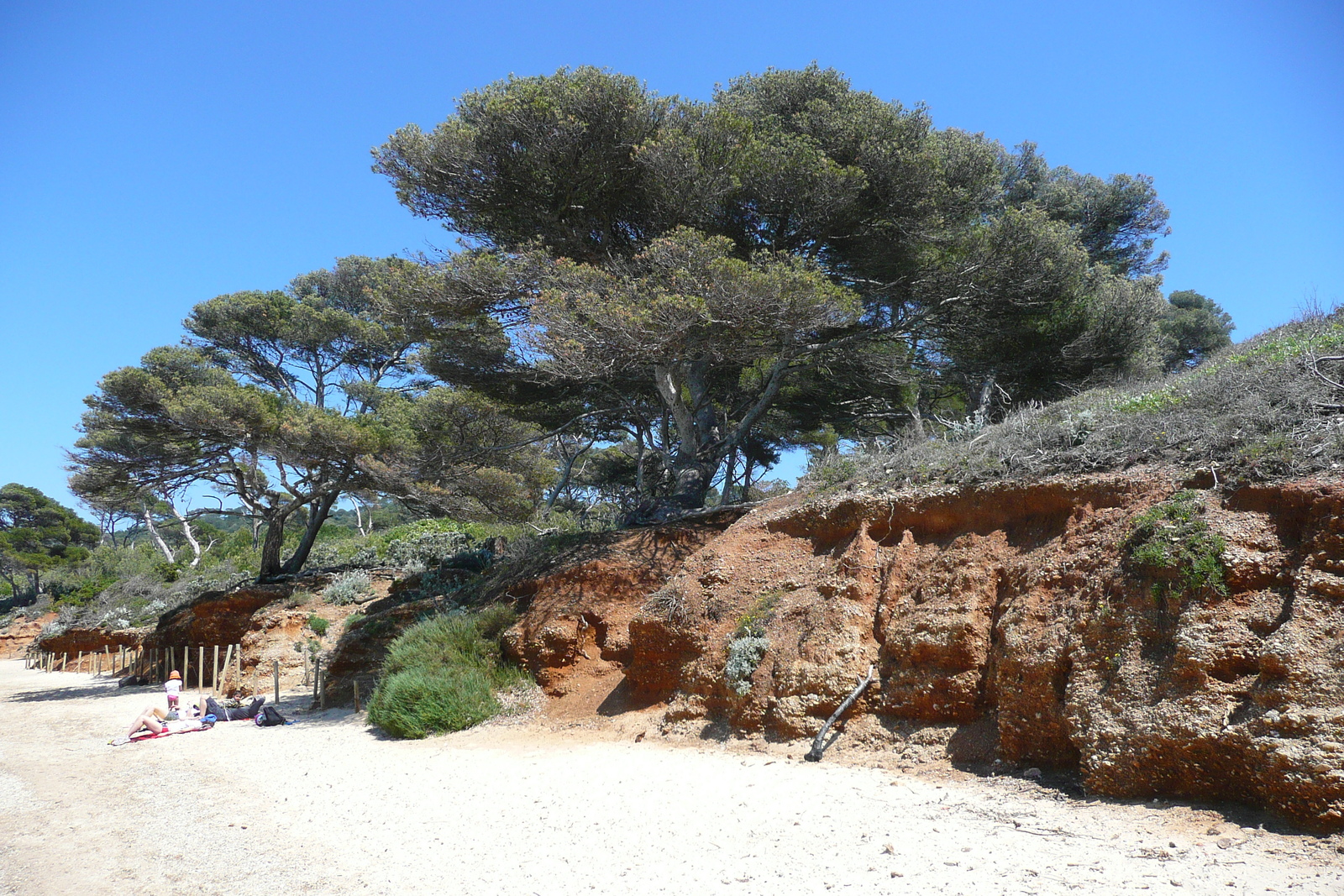Photo France Ile de Porquerolles Plage de la Courtade 2008-05 51