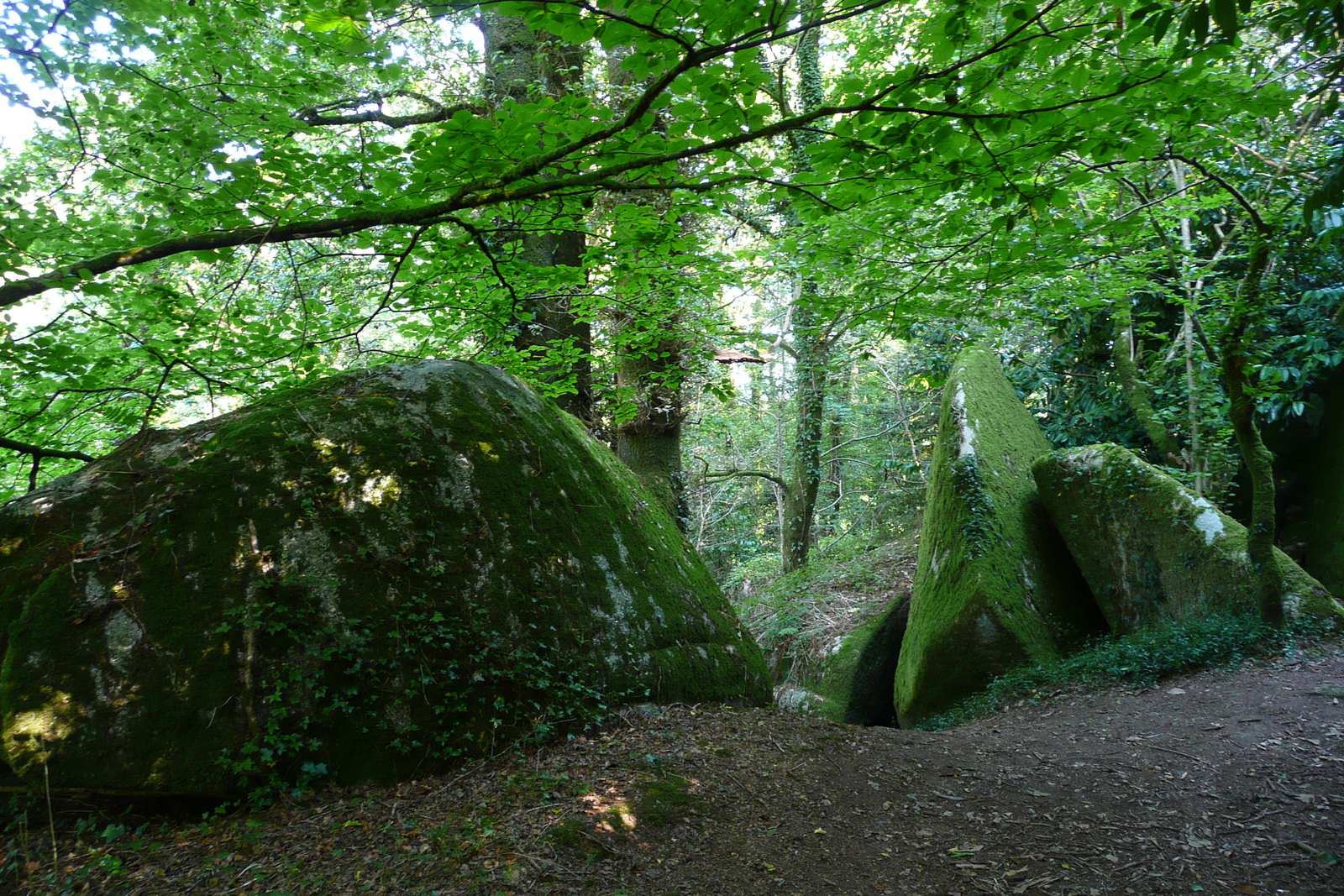 Photo France Huelgoat 2007-08 65