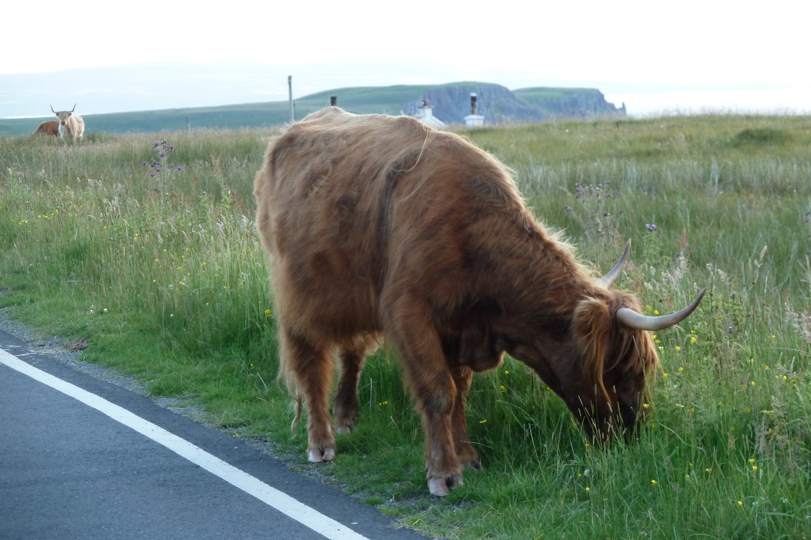 Photo Royaume-Uni Skye 2011-07 42