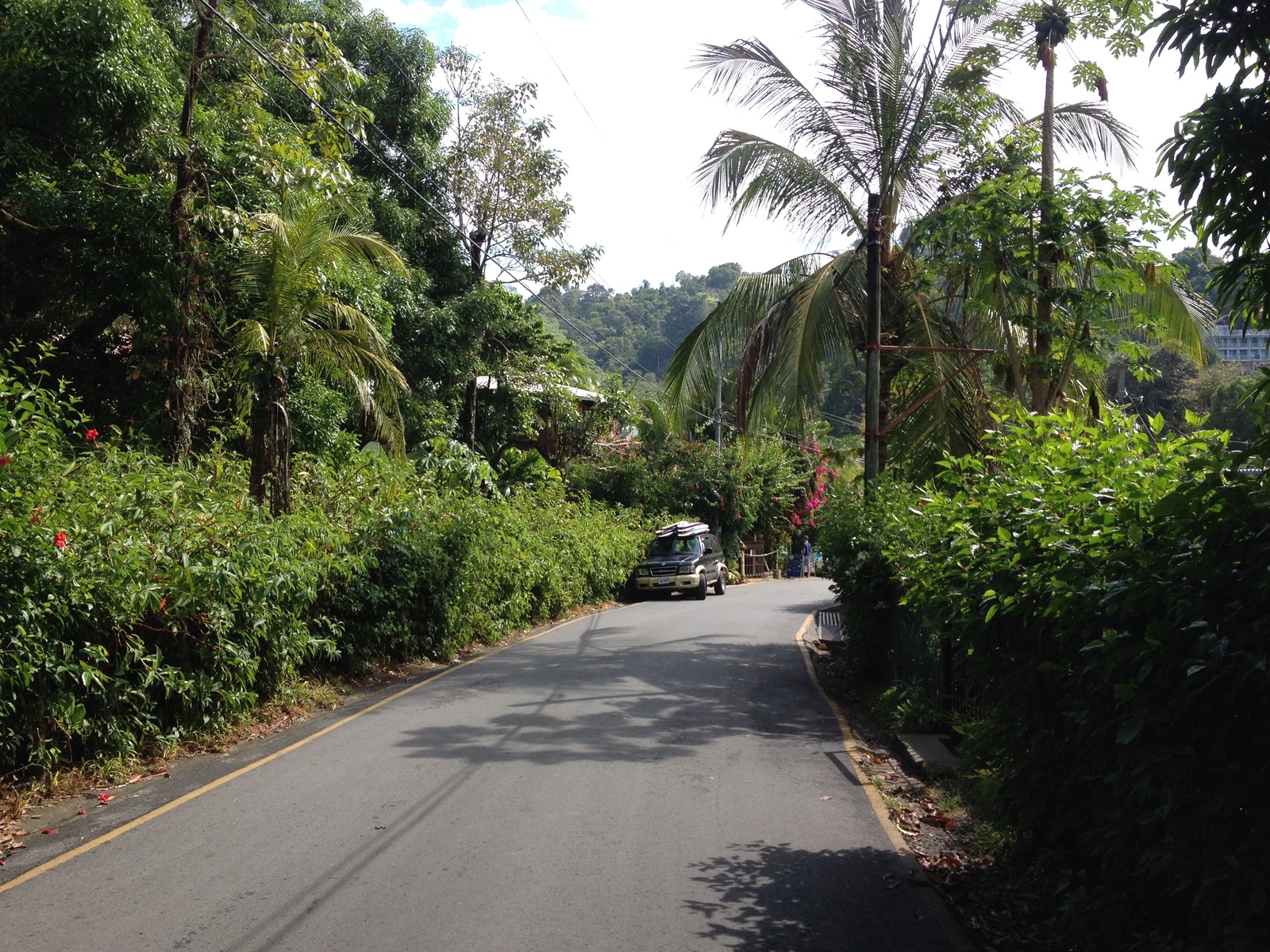 Photo Costa Rica Parc Manuel Antonio 2015-03 457