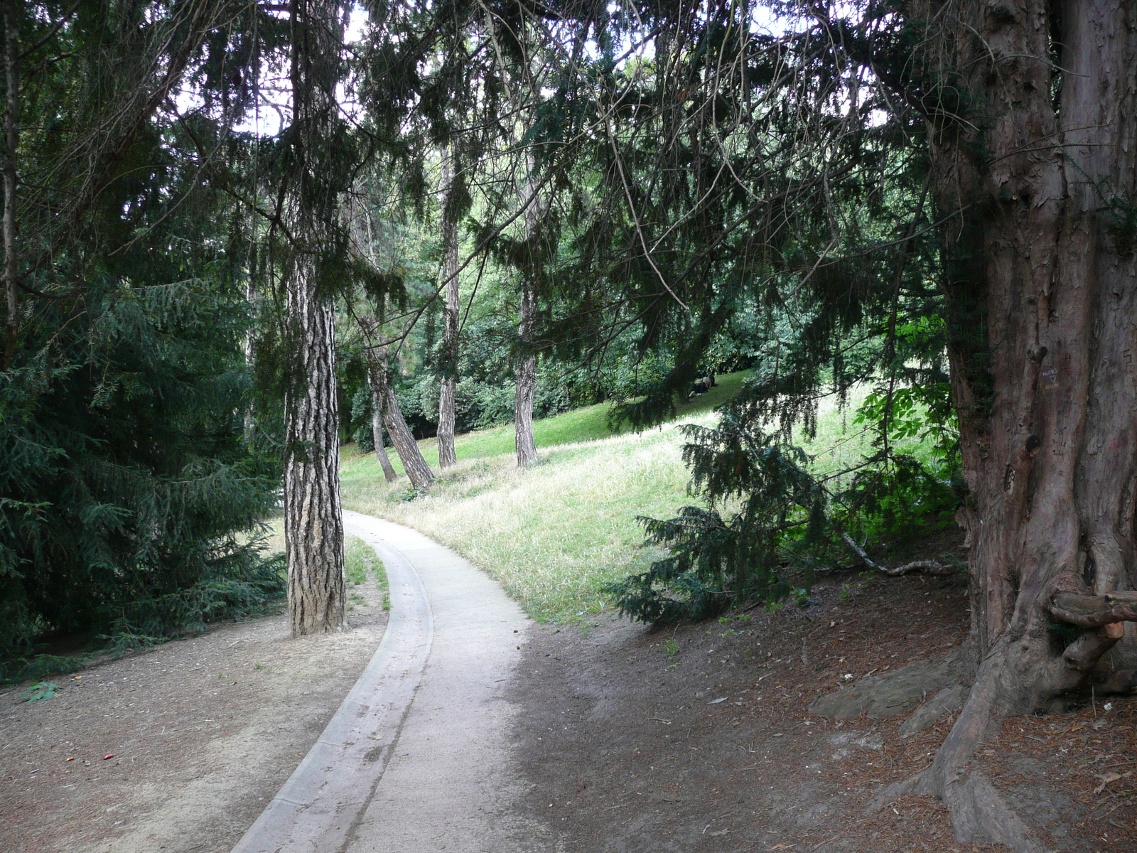Photo France Paris Parc des Buttes-Chaumont 2007-08 249