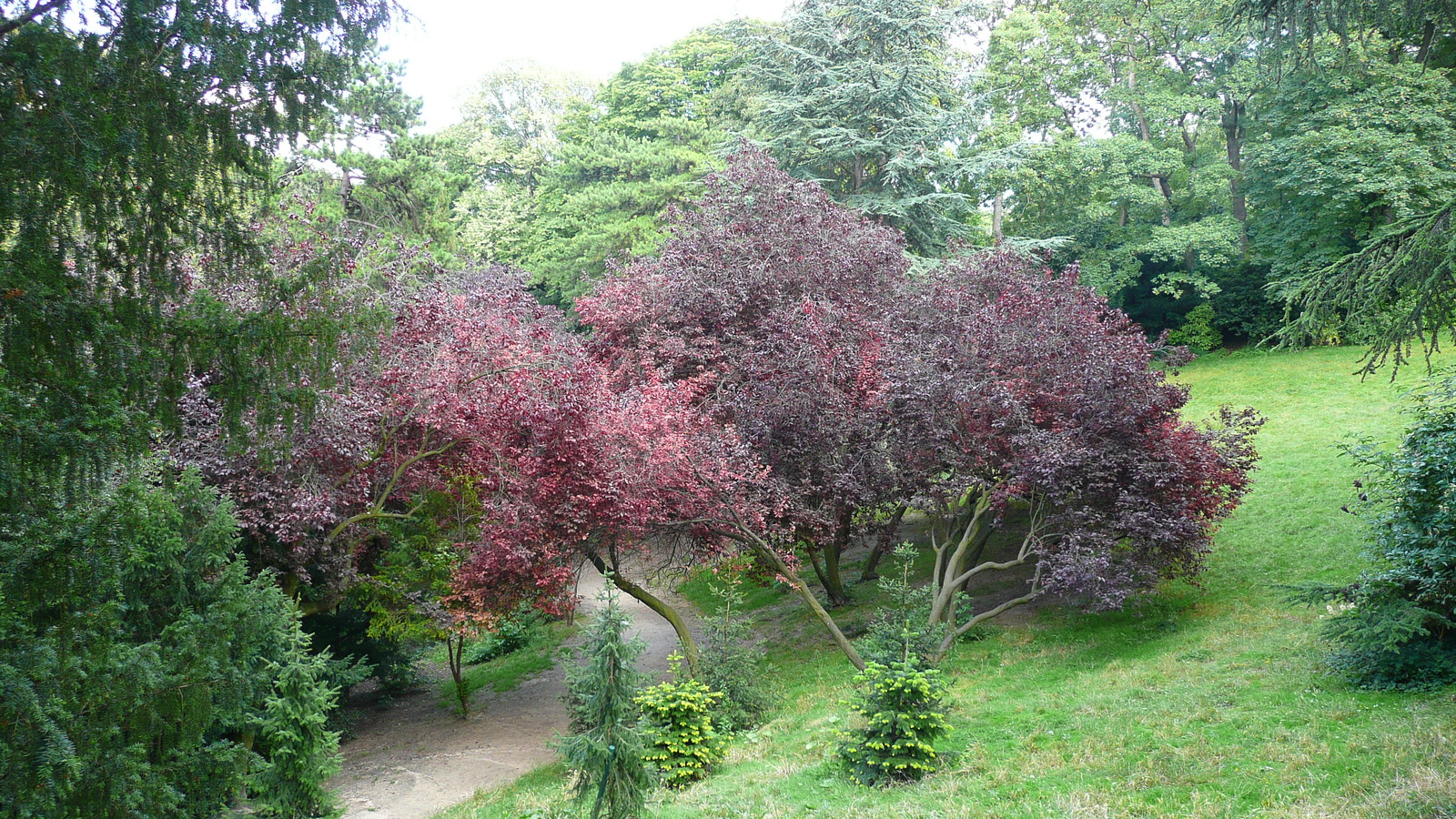 Photo France Paris Parc des Buttes-Chaumont 2007-08 8