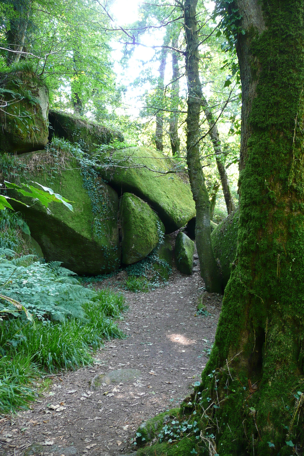 Photo France Huelgoat 2007-08 138