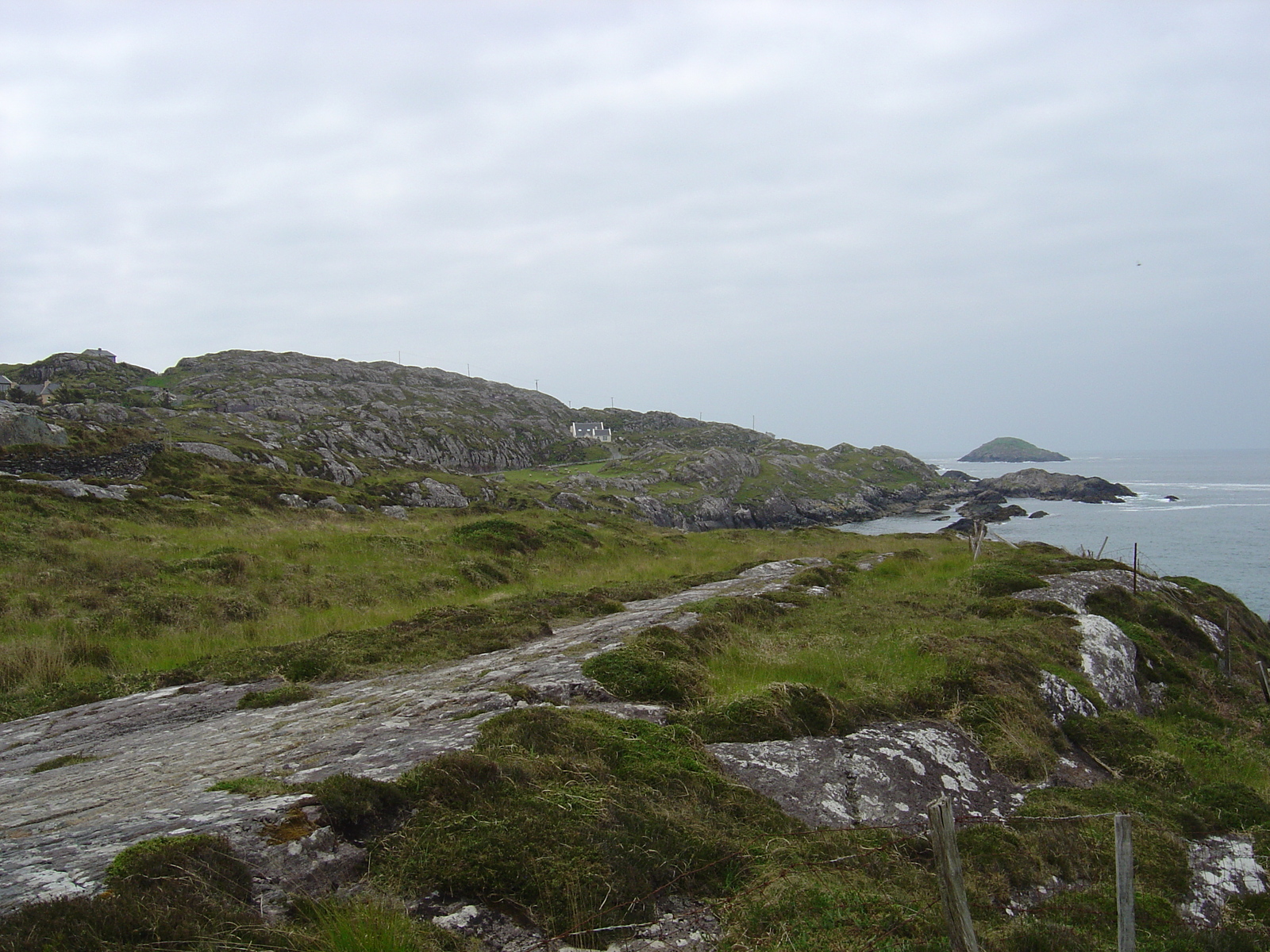 Photo Irlande Kerry Parknasilla 2004-05 44