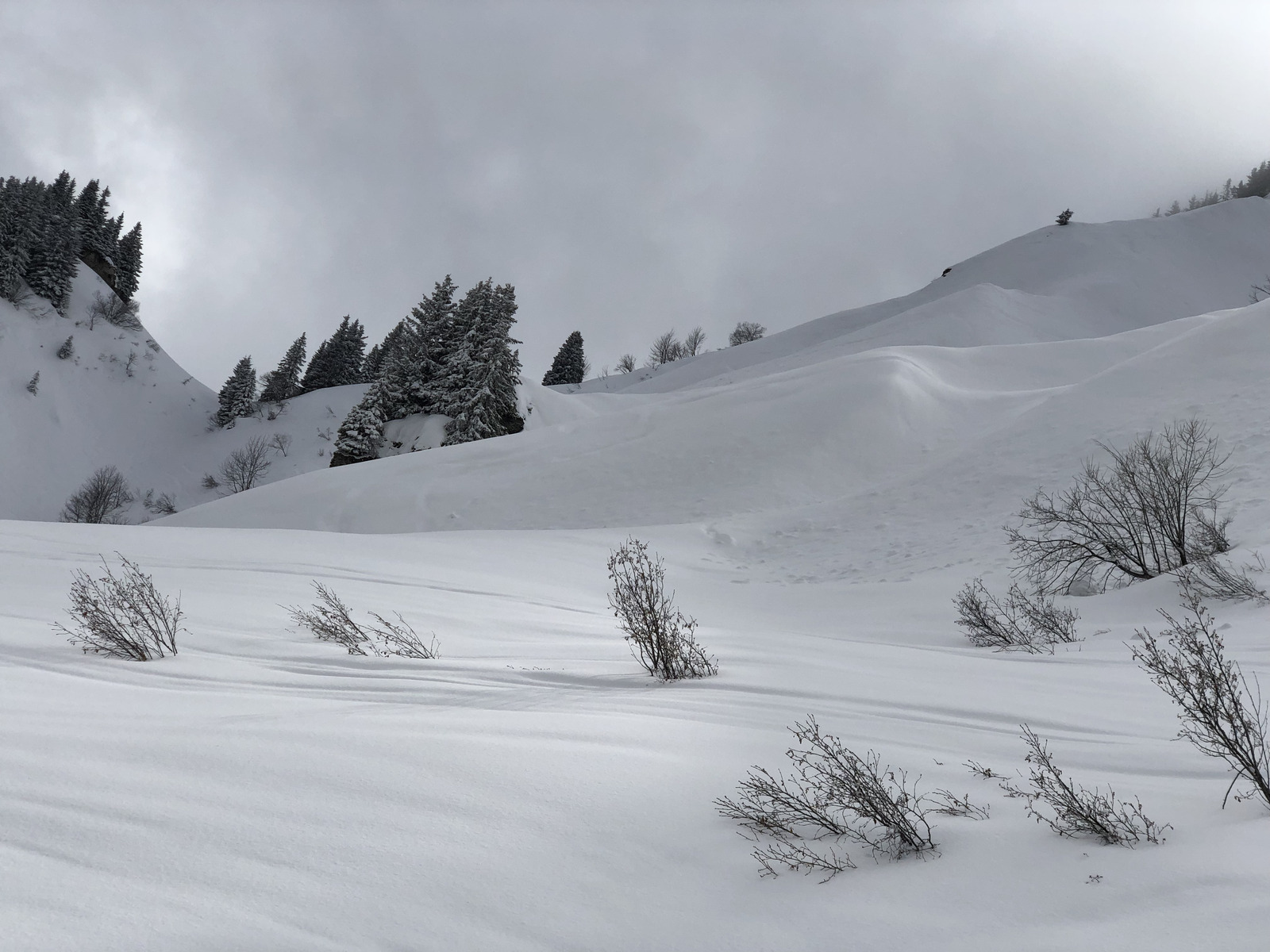 Photo France Megève 2019-03 38