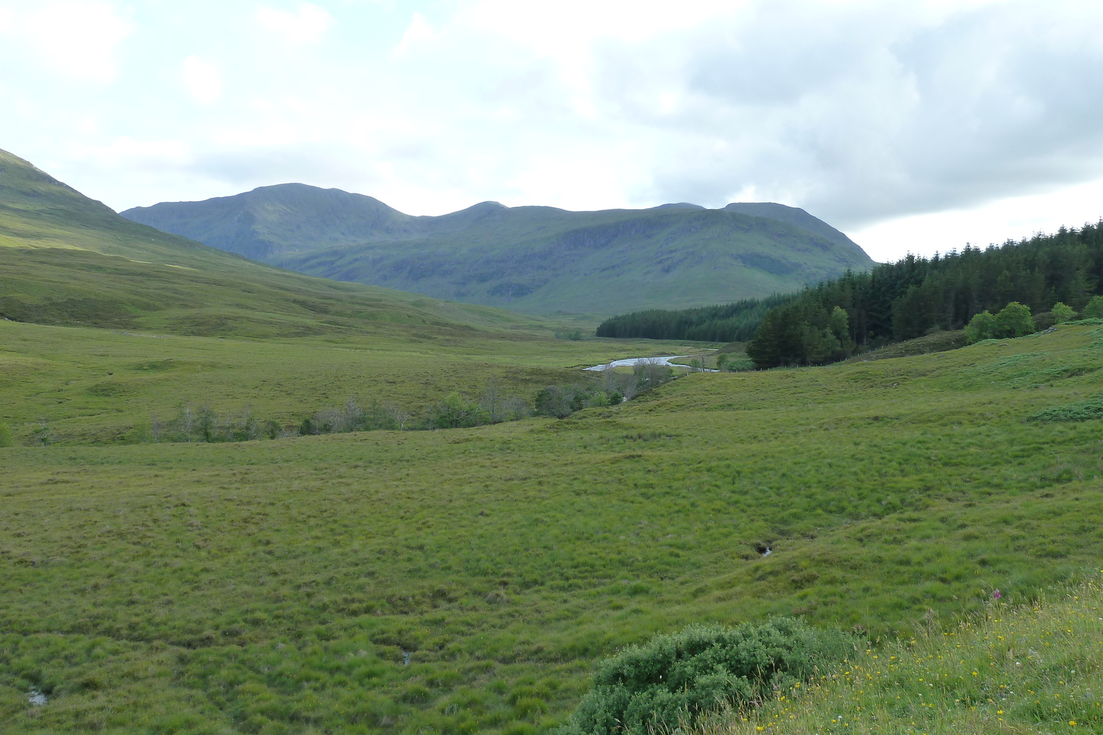 Photo Royaume-Uni Wester Ross 2011-07 5