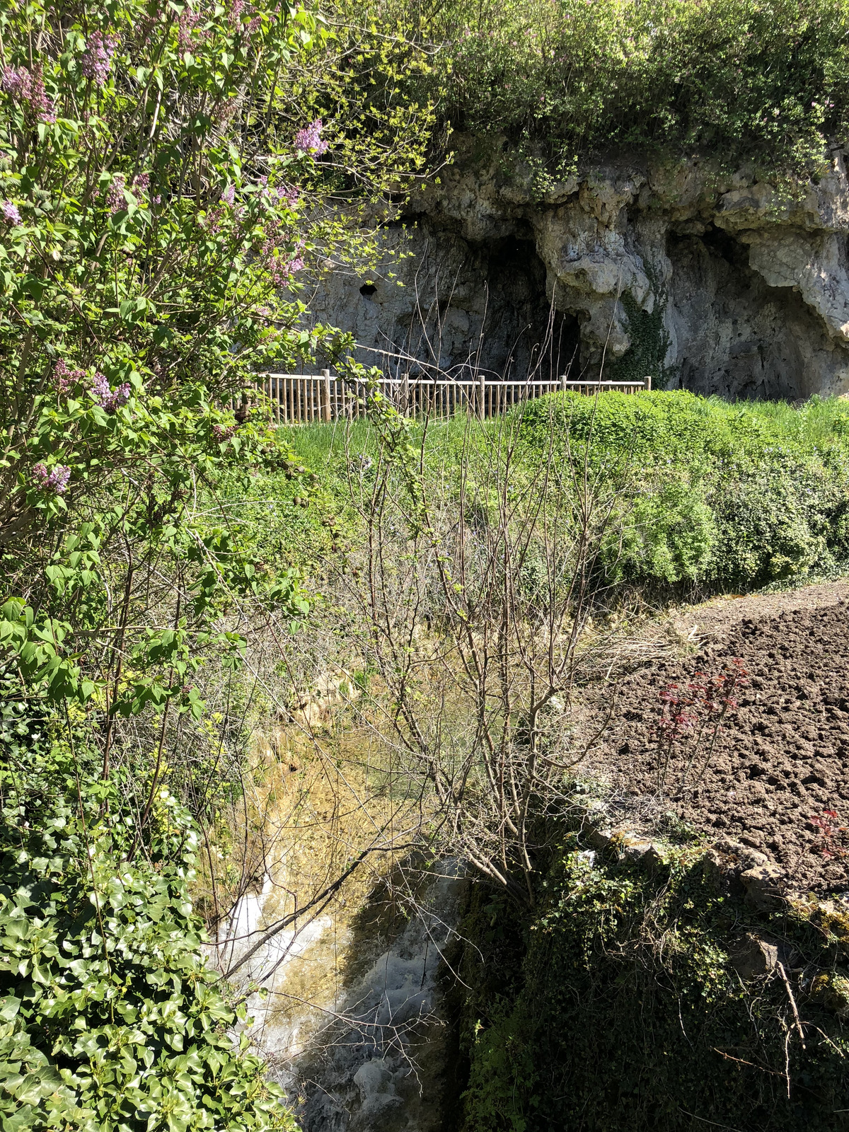 Photo France Salles la Source 2018-04 48
