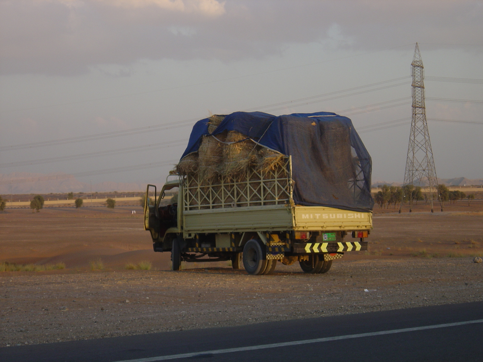 Photo Émirats arabes unis Al Ain Desert 2005-11 10