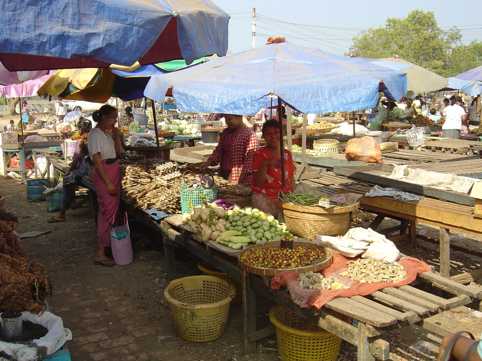 Photo Birmanie (Myanmar) Dawei (TAVOY) 2005-01 56