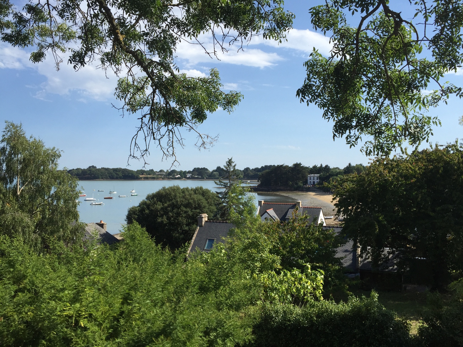 Photo France Île-aux-Moines 2016-08 64