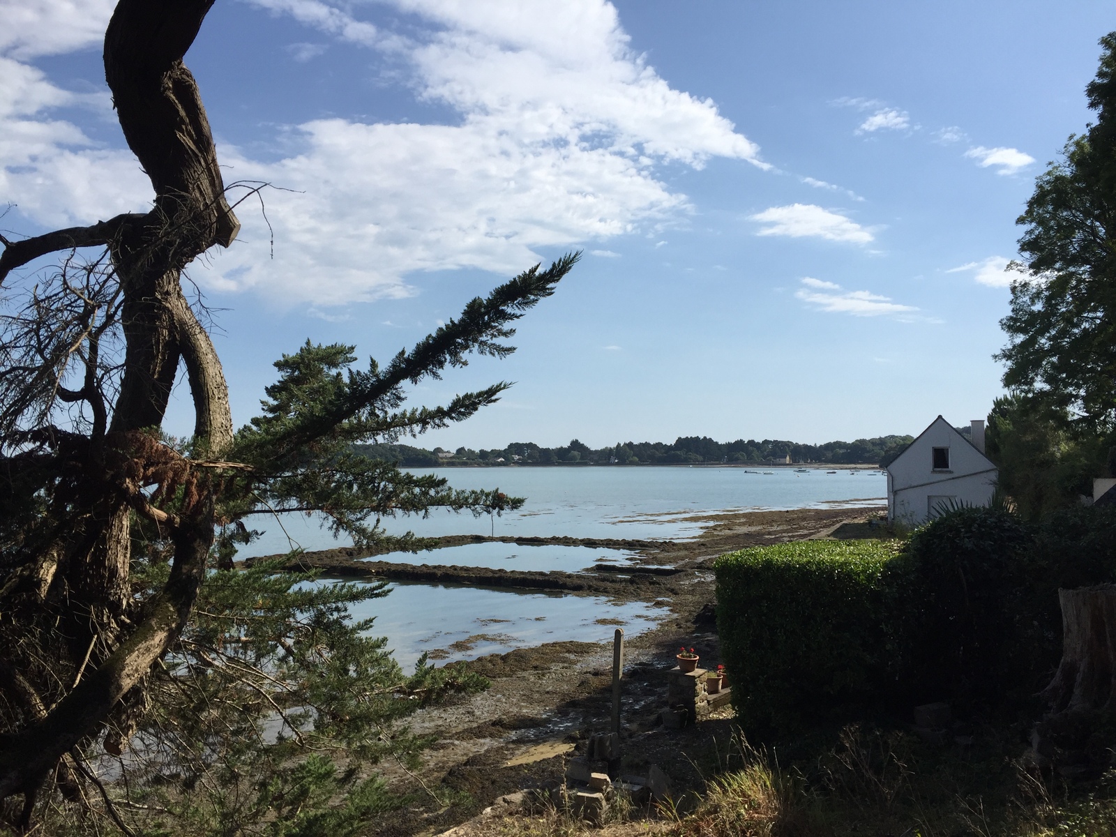Photo France Île-aux-Moines 2016-08 59