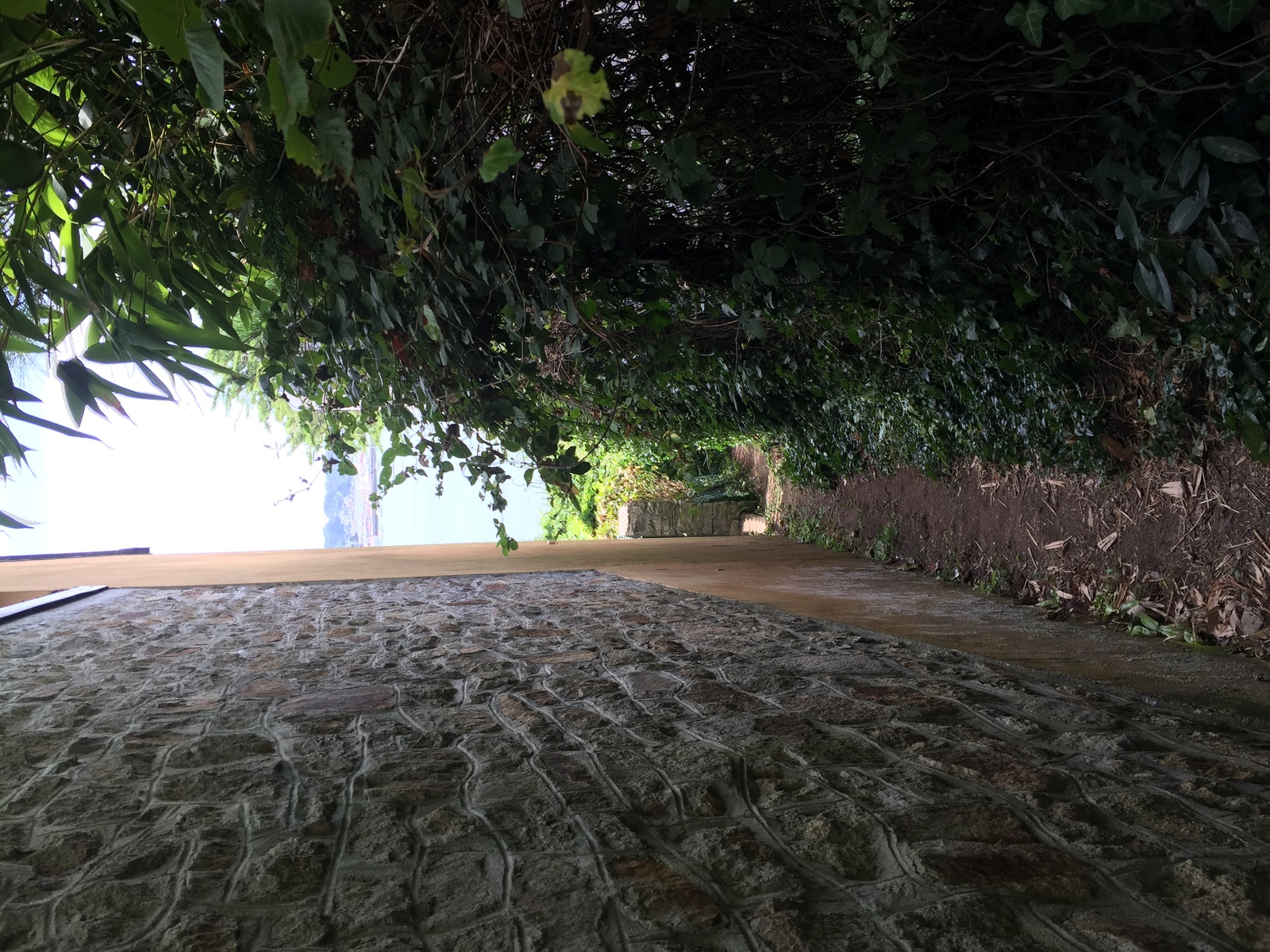 Photo France Île-aux-Moines 2016-08 49