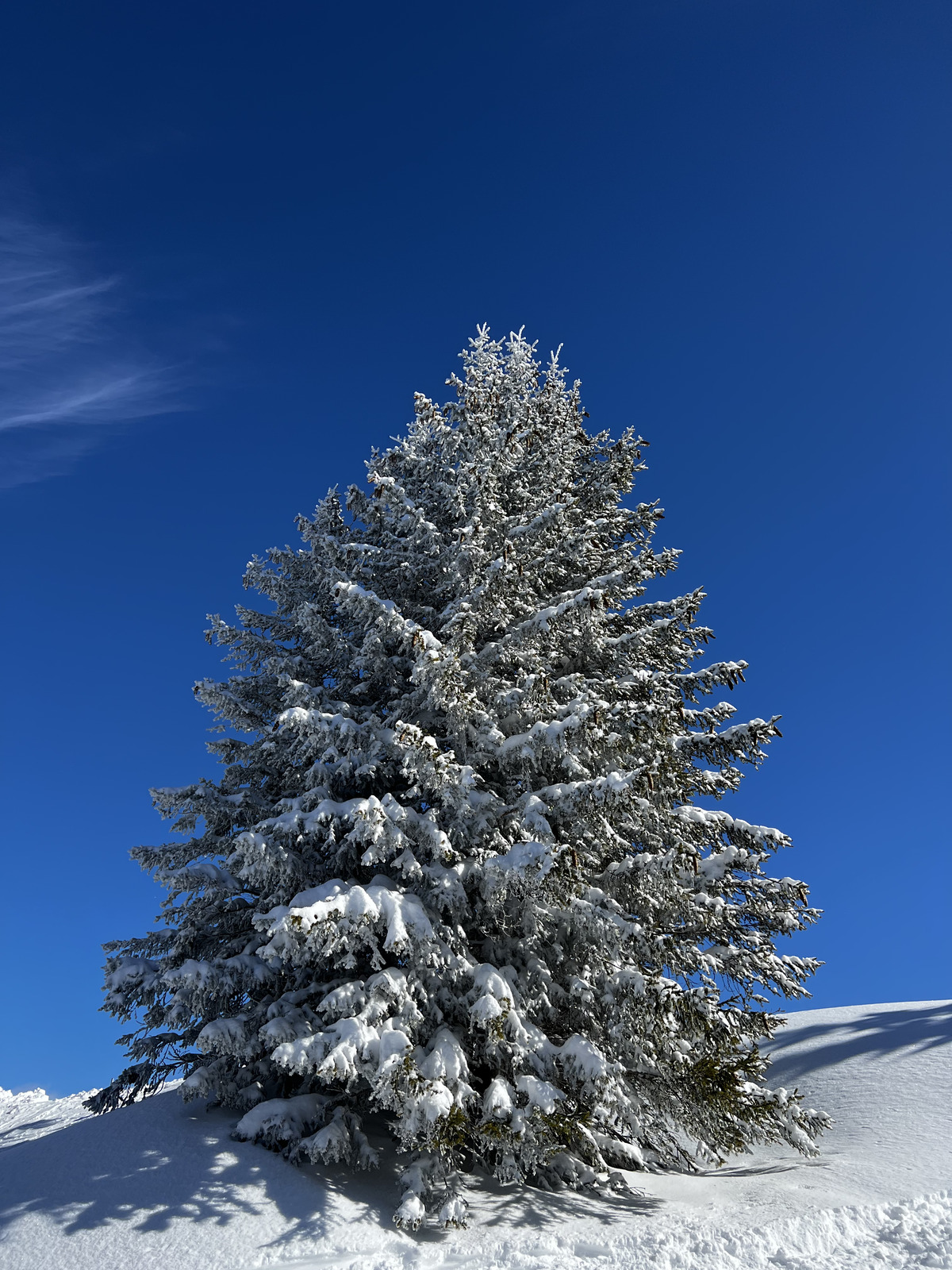 Photo France Megève 2022-02 1