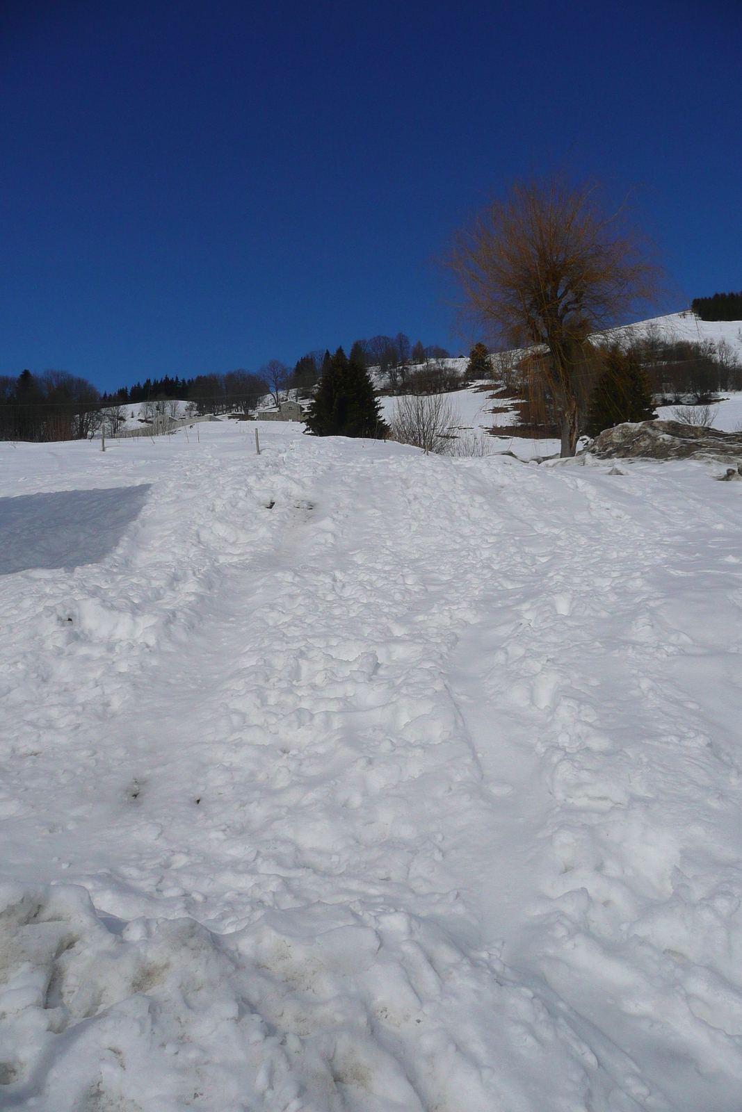 Photo France Megève 2010-02 120