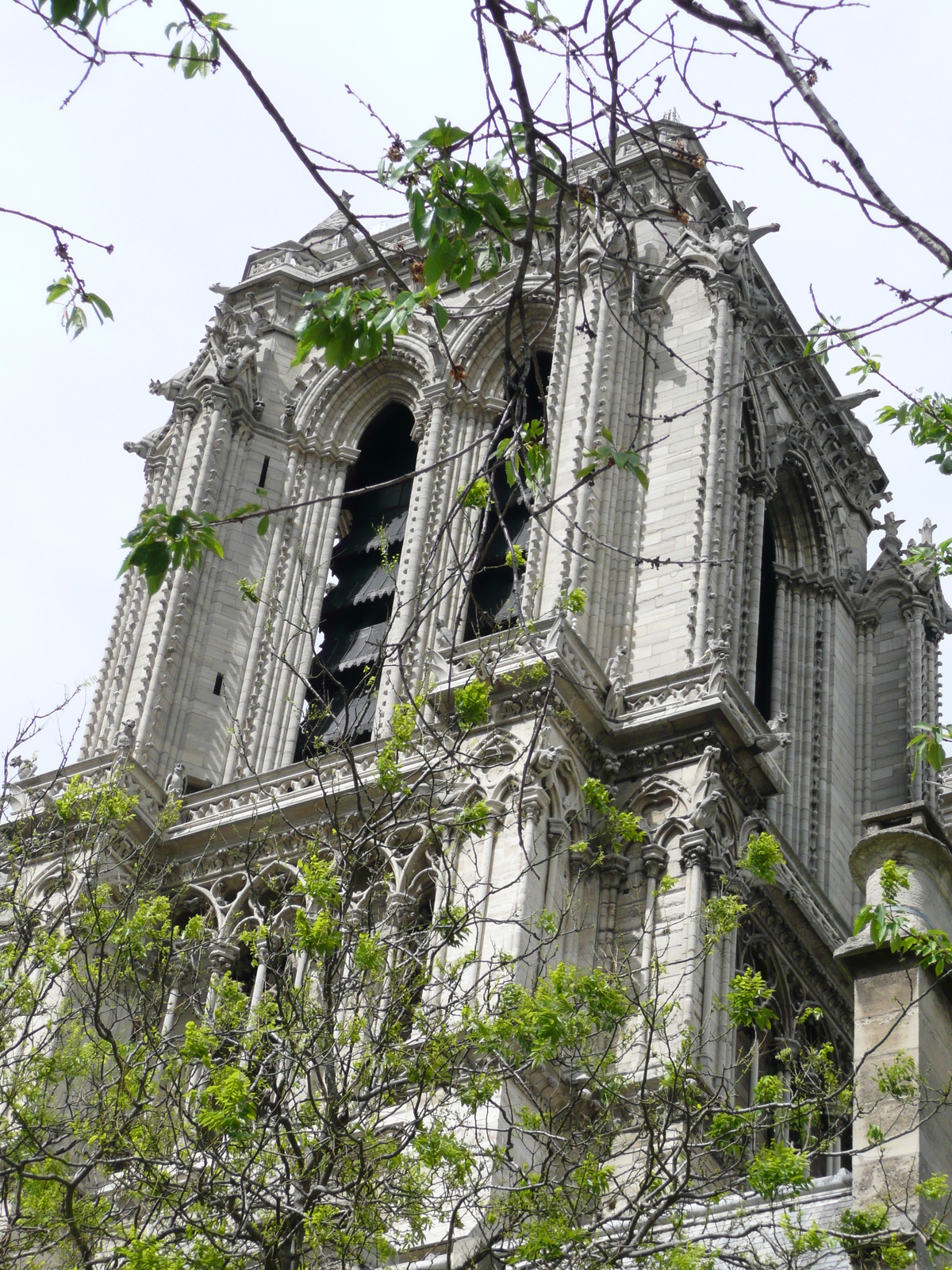 Photo France Paris Notre Dame 2007-05 121