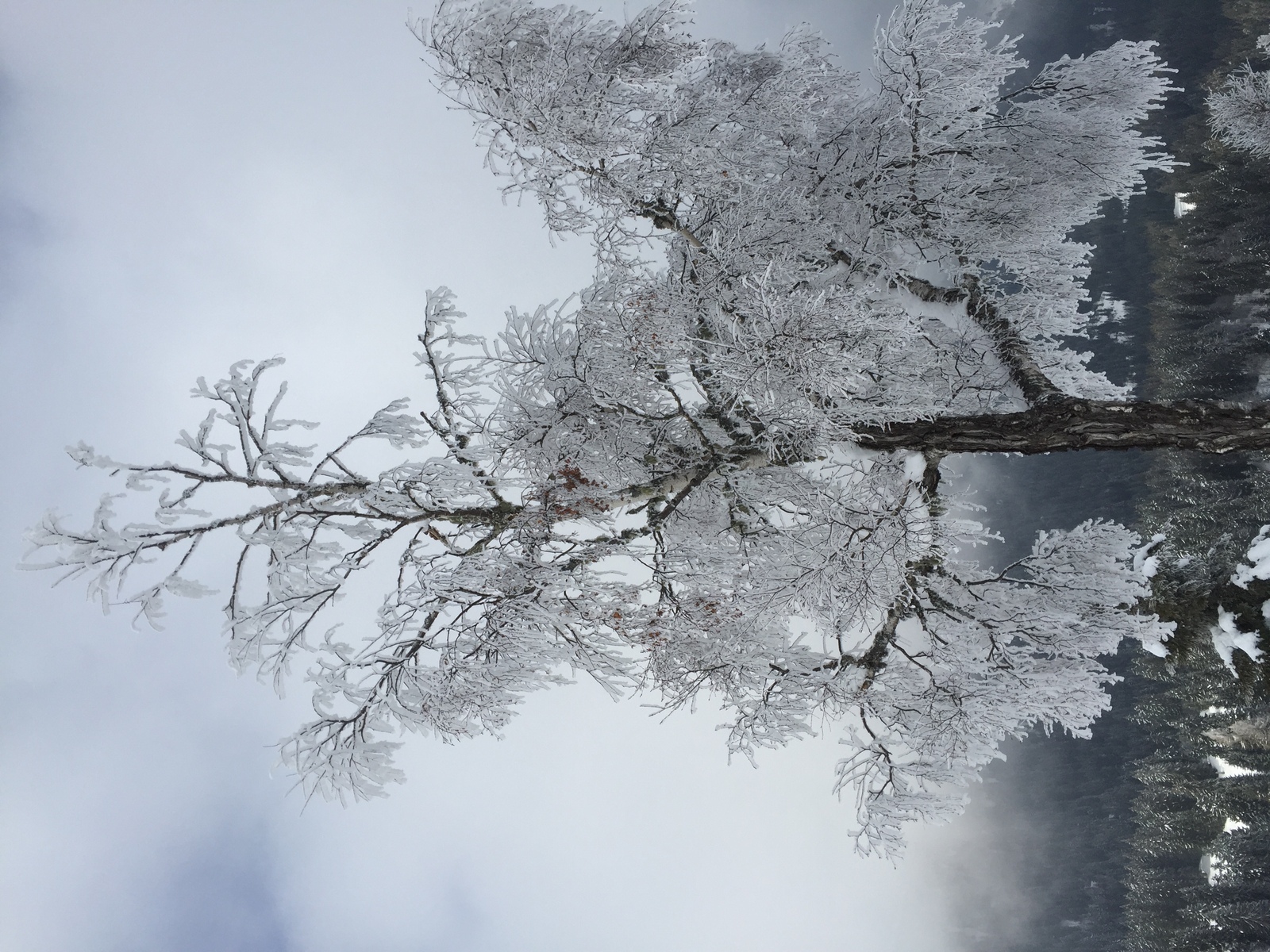 Photo France Megève 2016-02 16