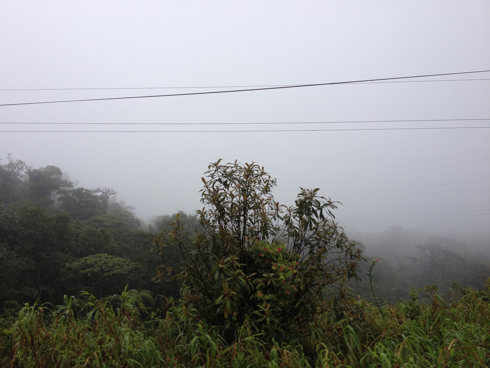 Photo Panama David à Bocas del toro 2015-03 77