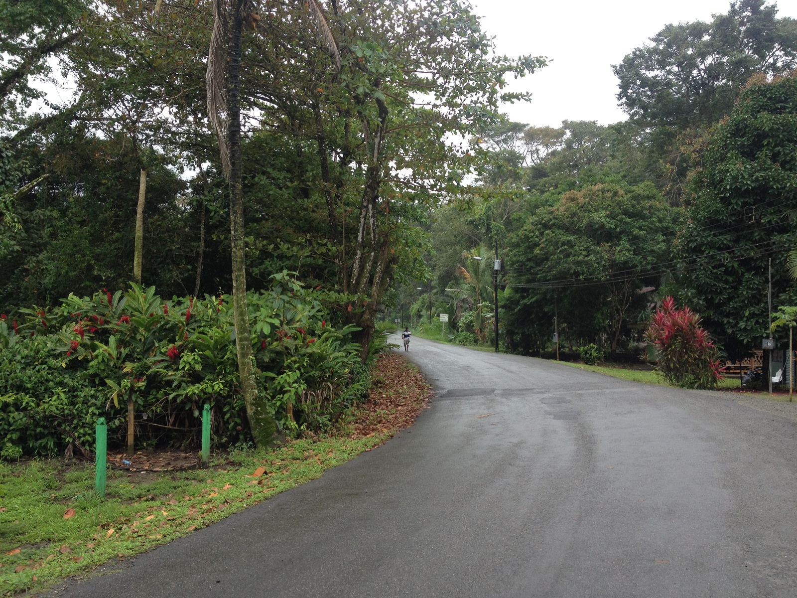 Photo Costa Rica Puerto Viejo de Talamanca 2015-03 80