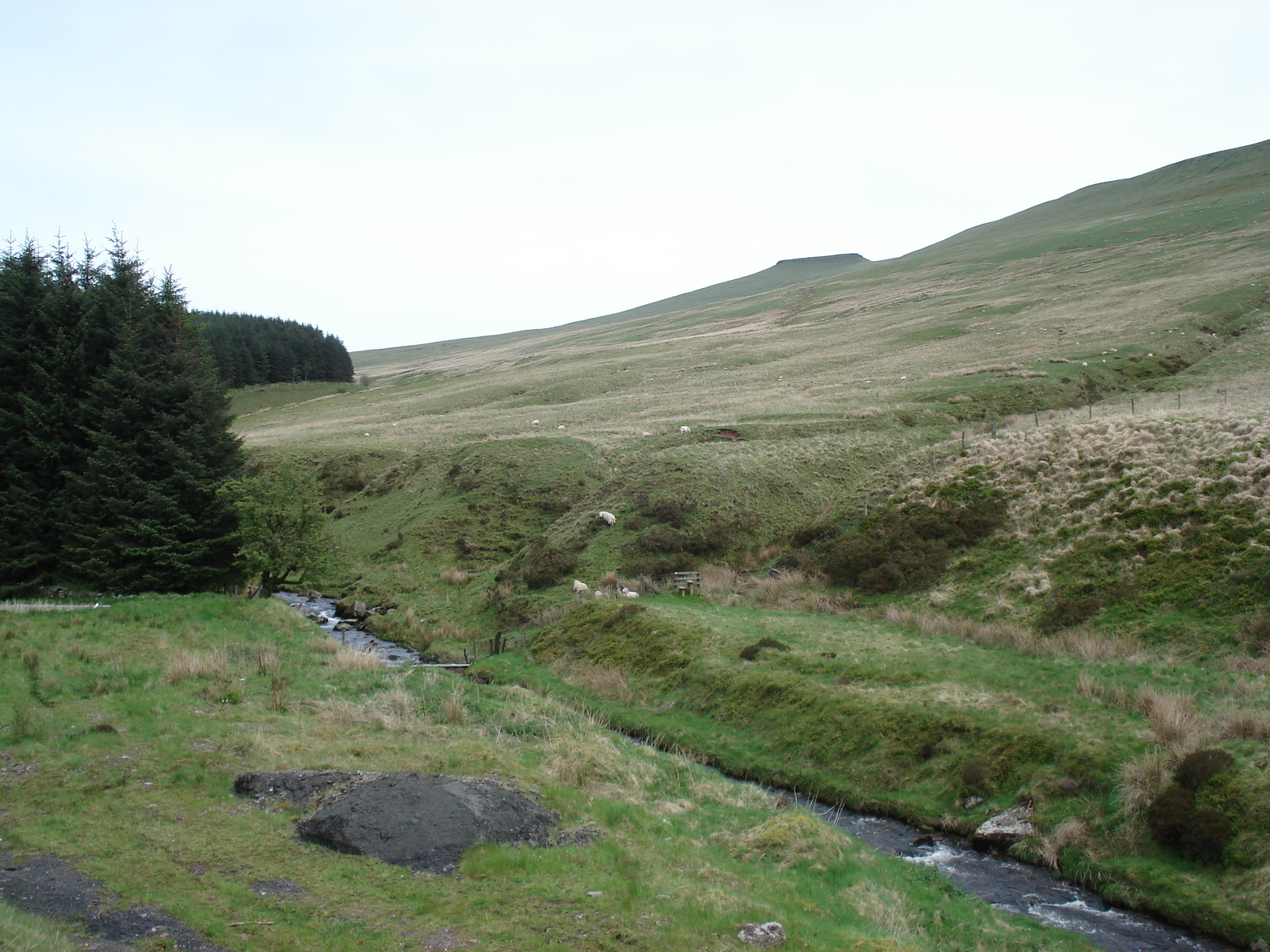 Photo Royaume-Uni Parc national des Brecon Beacons 2006-05 59