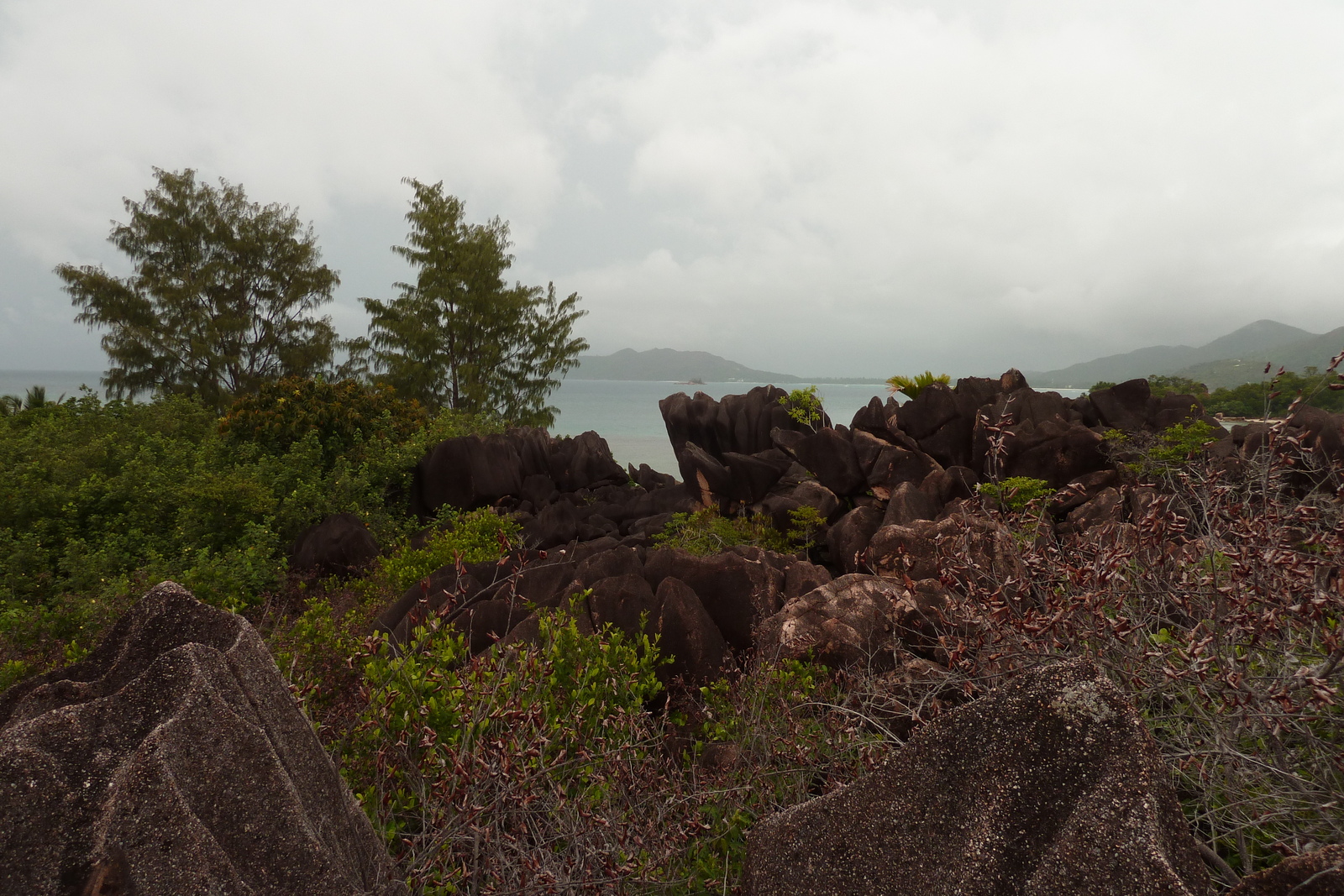 Photo Seychelles Curieuse 2011-10 24