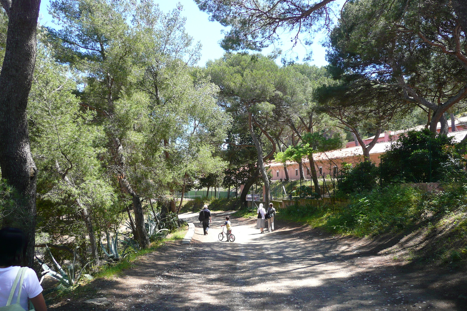 Photo France Ile de Porquerolles Pointe Bearlieu 2008-05 15