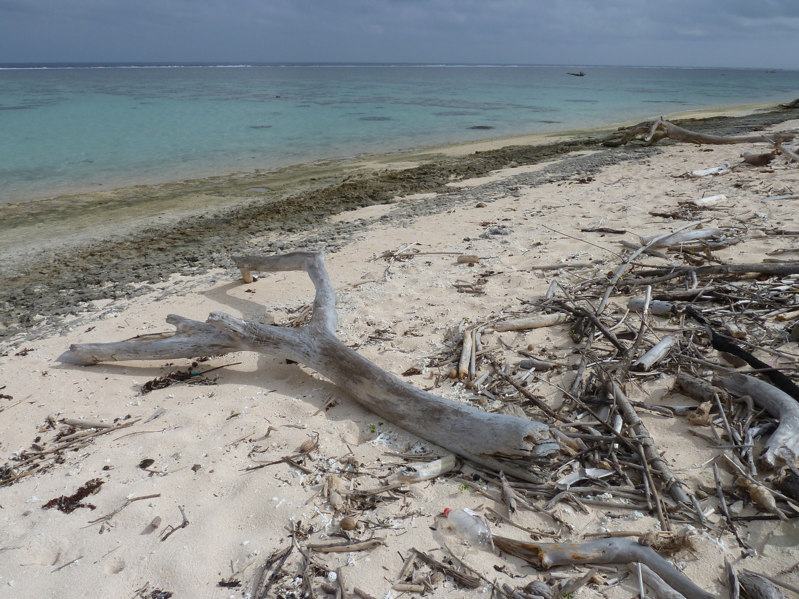 Photo Îles Fidji Nadi à Natadola 2010-05 55