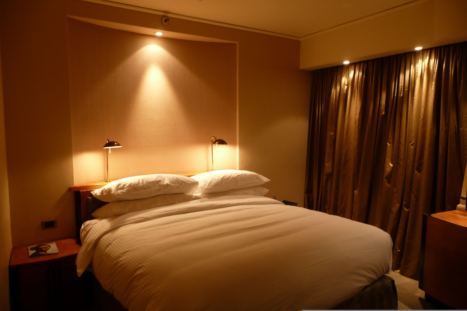 Photo Afrique du Sud Johannesbourg Hotel Intercontinental 2008-09 9