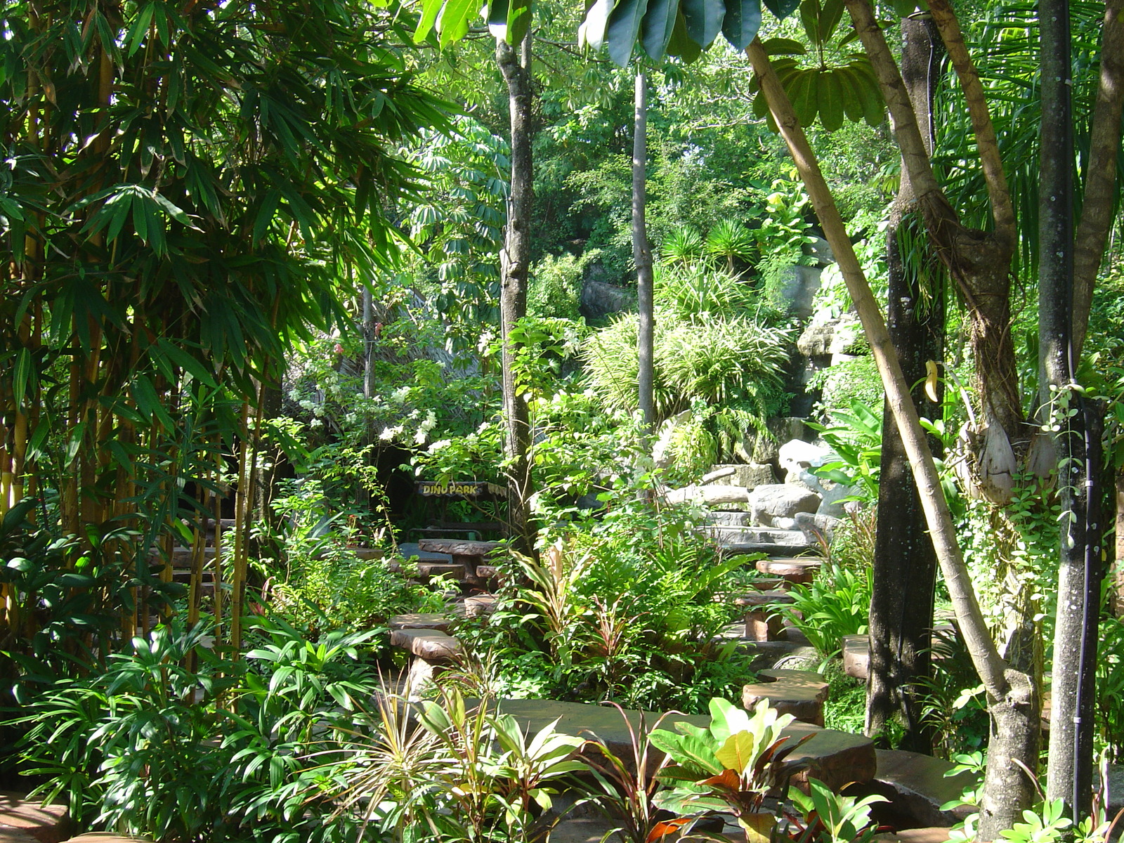 Photo Thaïlande Phuket Kata Karon 2005-12 28