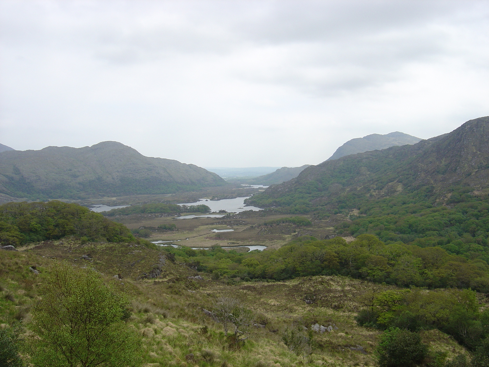 Photo Irlande Kerry Parc National de Killarney 2004-05 1