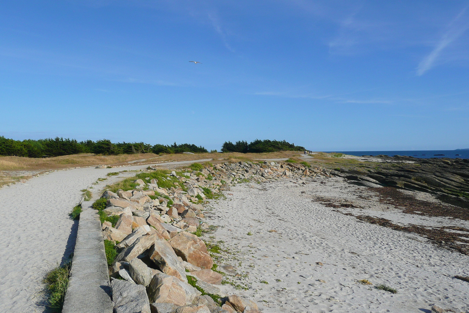 Photo France Presqu'ile de Quiberon Pointe du Conguel 2008-07 43