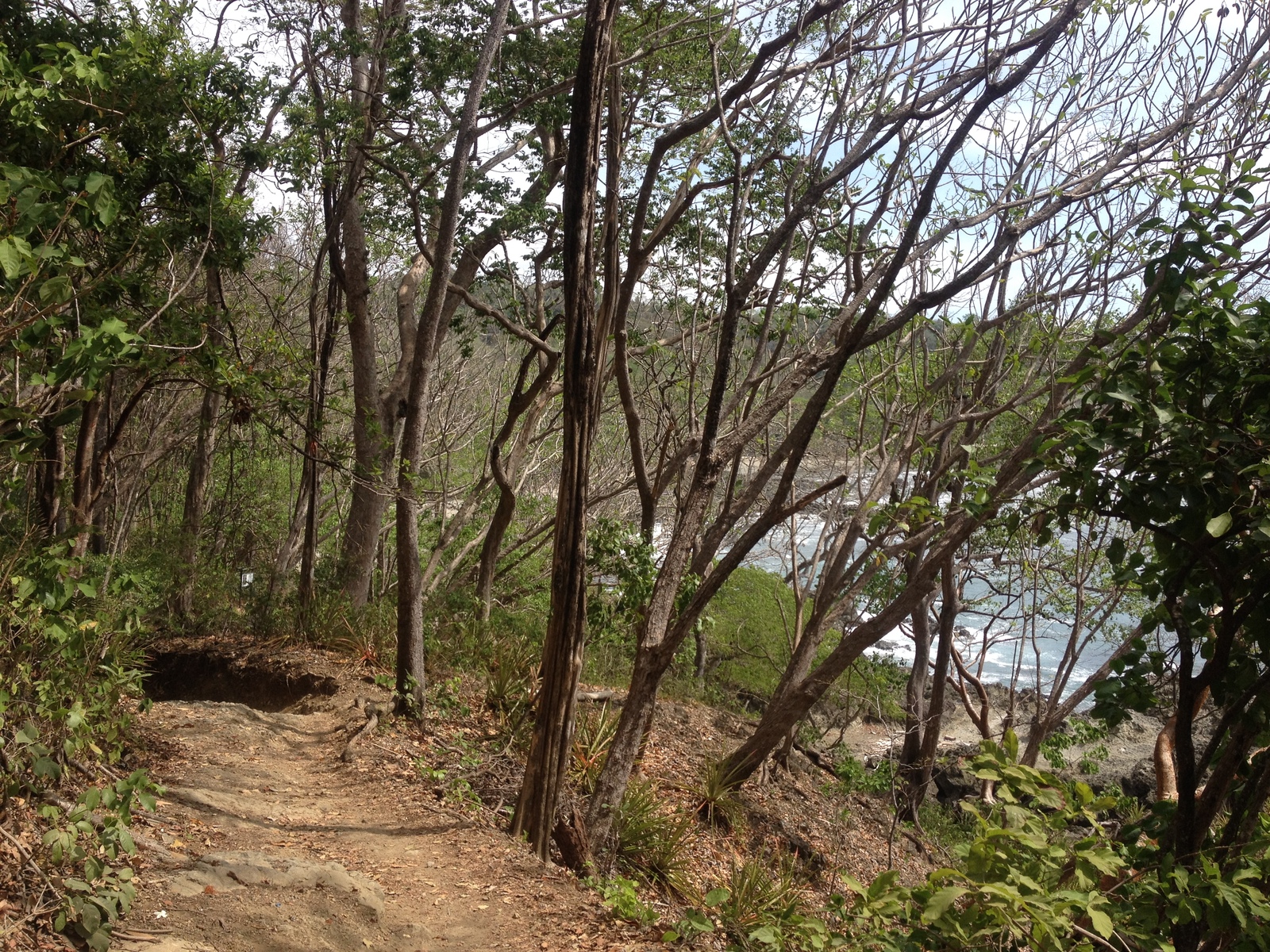 Photo Costa Rica Montezuma 2015-03 421