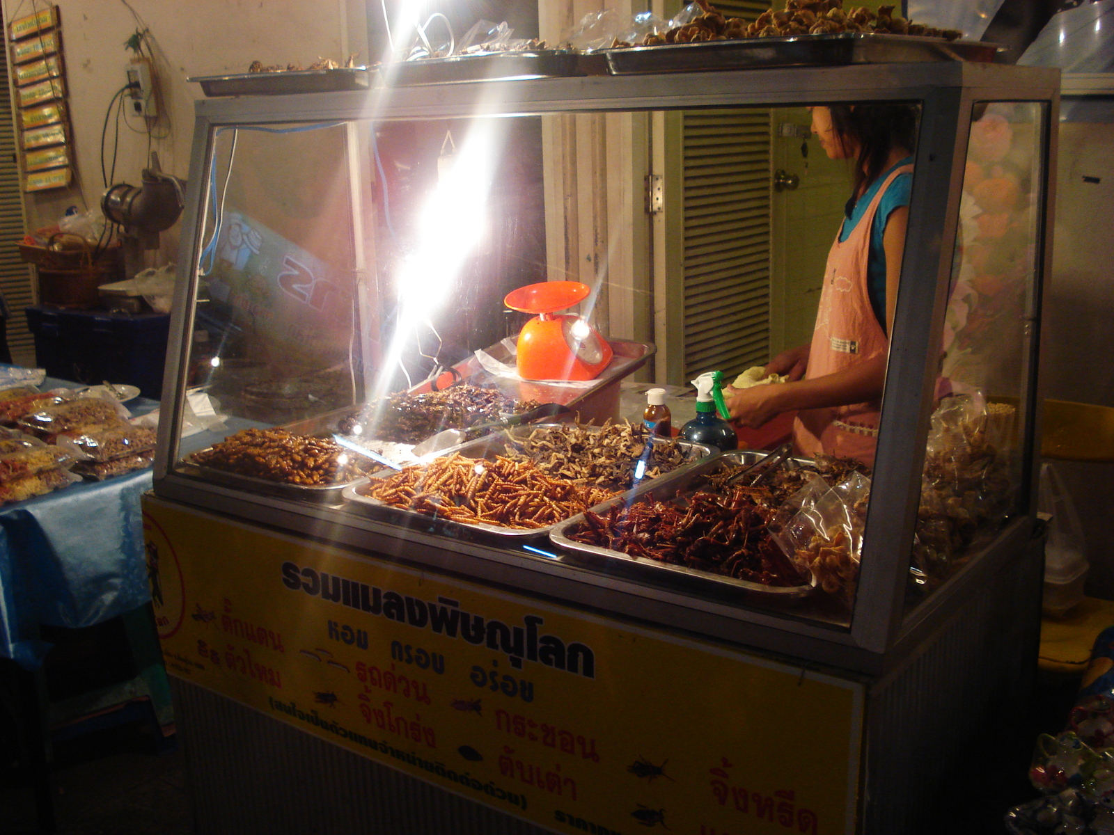 Photo Thaïlande Phitsanulok Puttabucha 2008-01 30