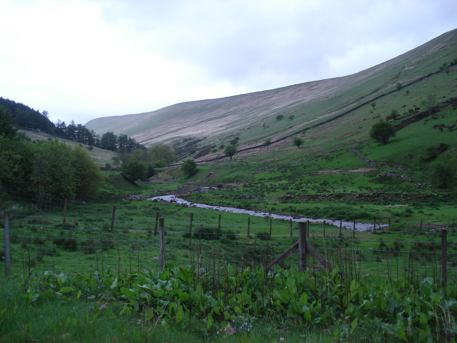 Photo Royaume-Uni Parc national des Brecon Beacons 2006-05 8