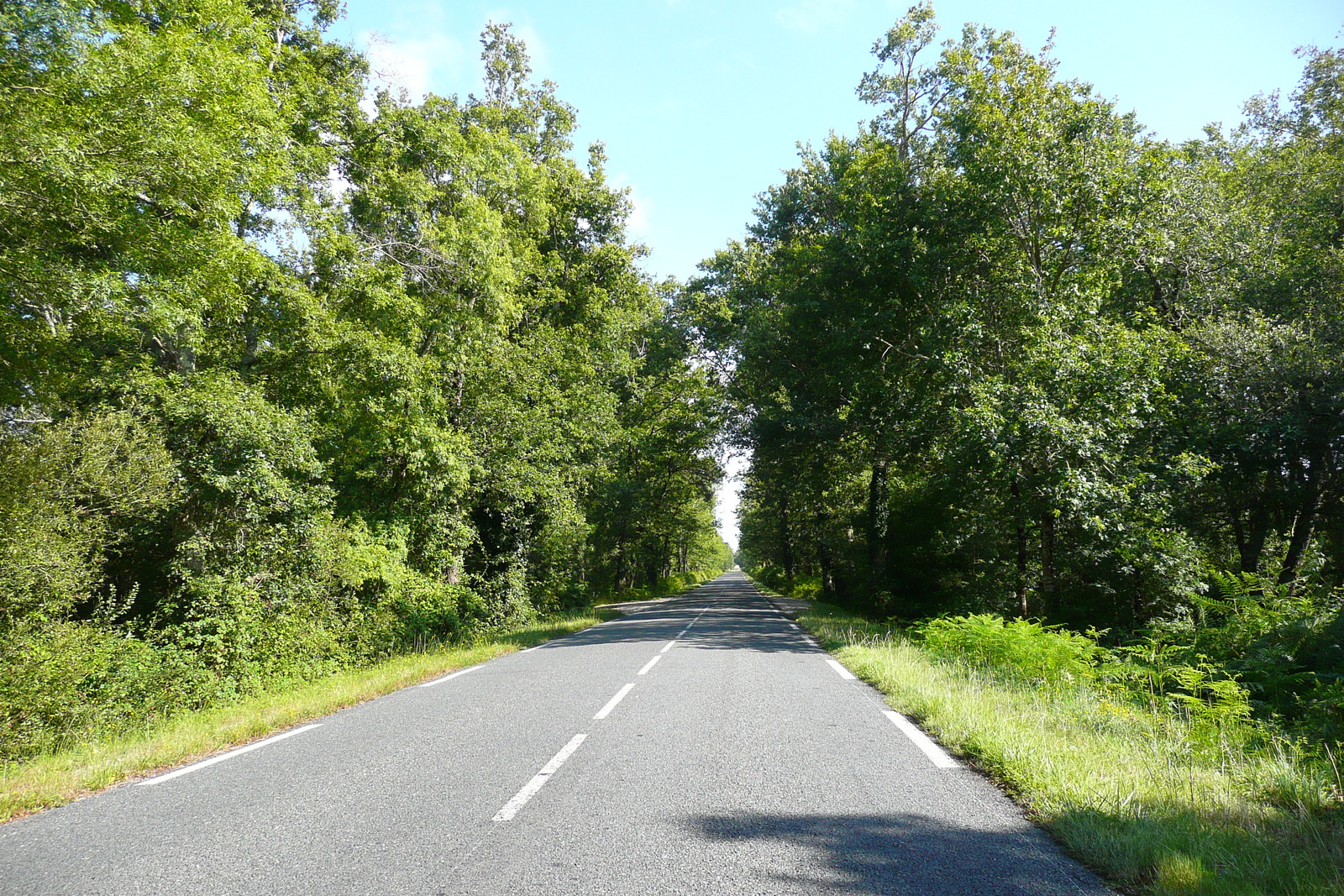 Photo France Routes des Lacs de Gironde 2007-08 2