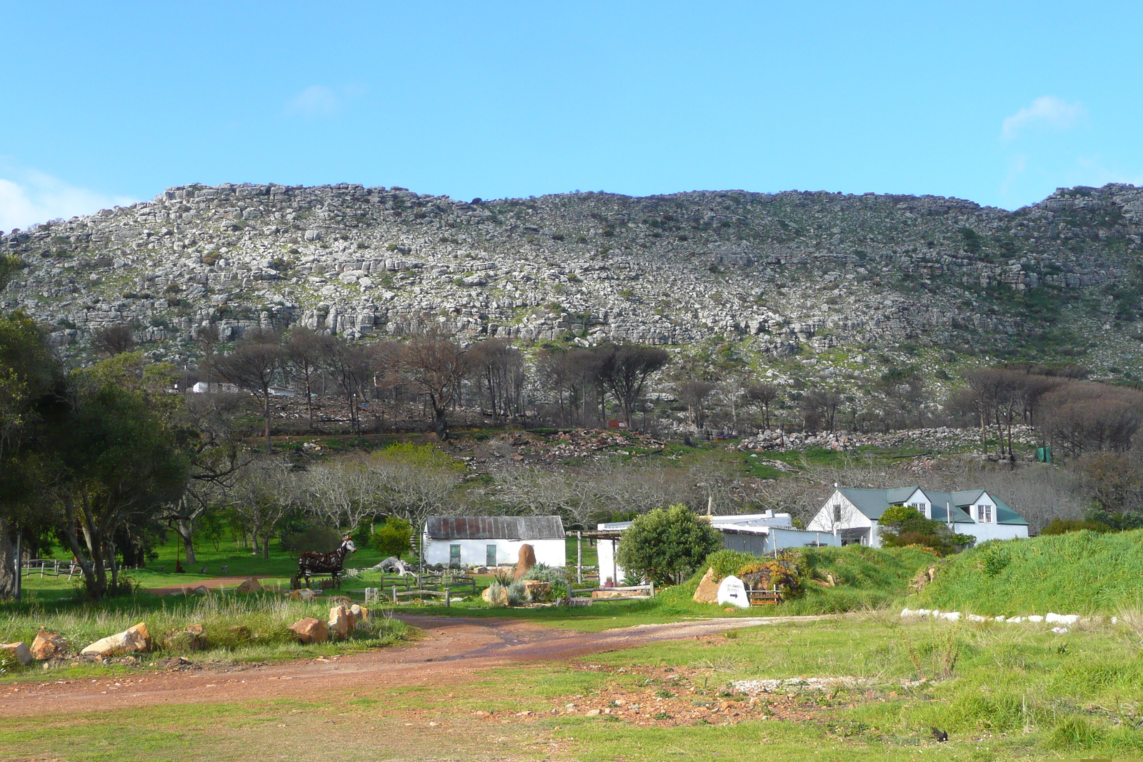 Photo Afrique du Sud Cap de Bonne Espérance 2008-09 26