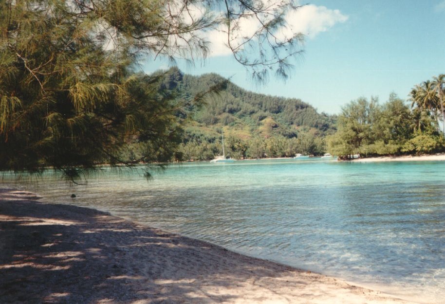 Photo Polynésie Mooréa 1993-04 20