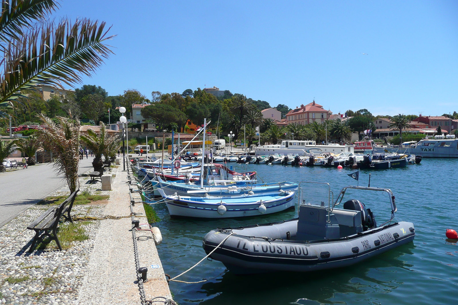 Photo France Ile de Porquerolles Port de Porquerolles 2008-05 60