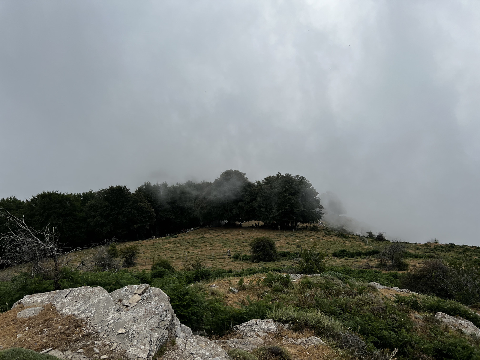 Photo France Corse Refuge de Callerucciu 2022-06 38