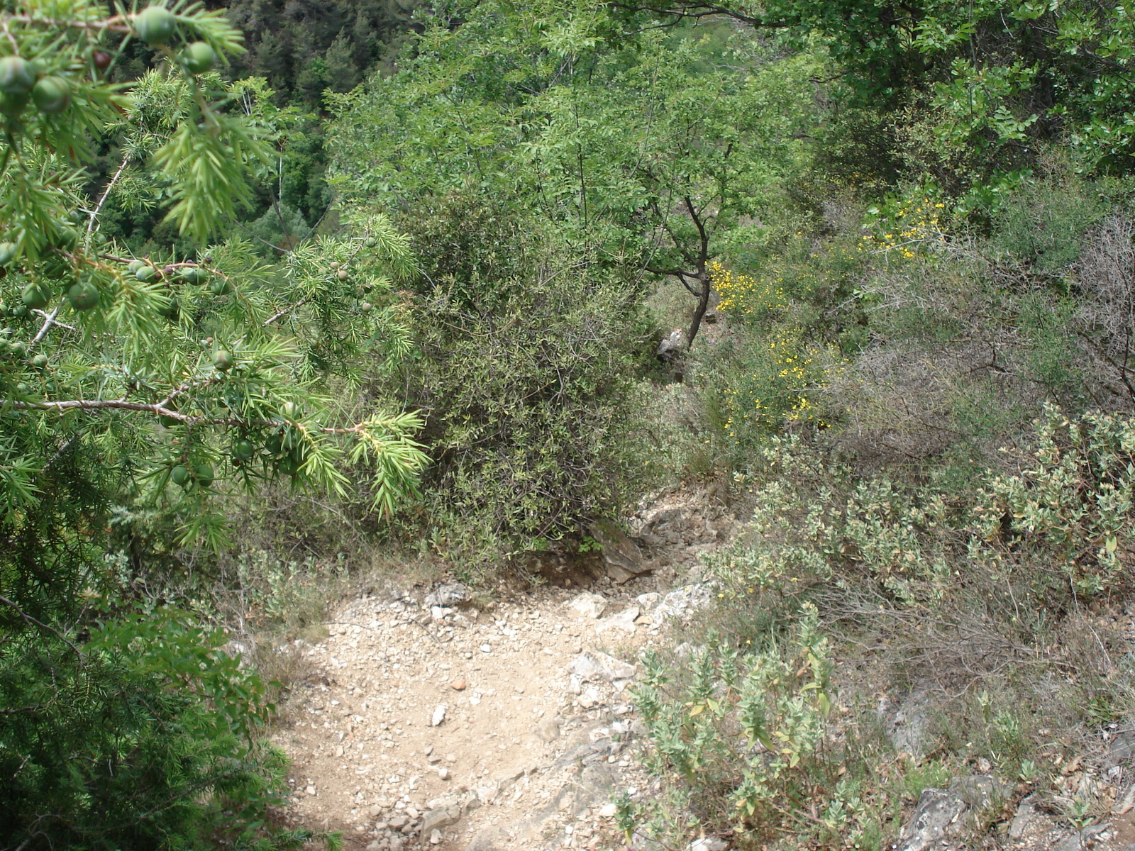 Photo France Vence Baou 2006-06 103