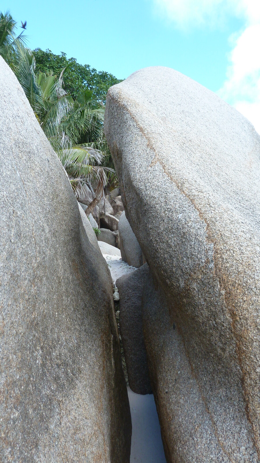 Photo Seychelles Ile Coco 2011-10 78