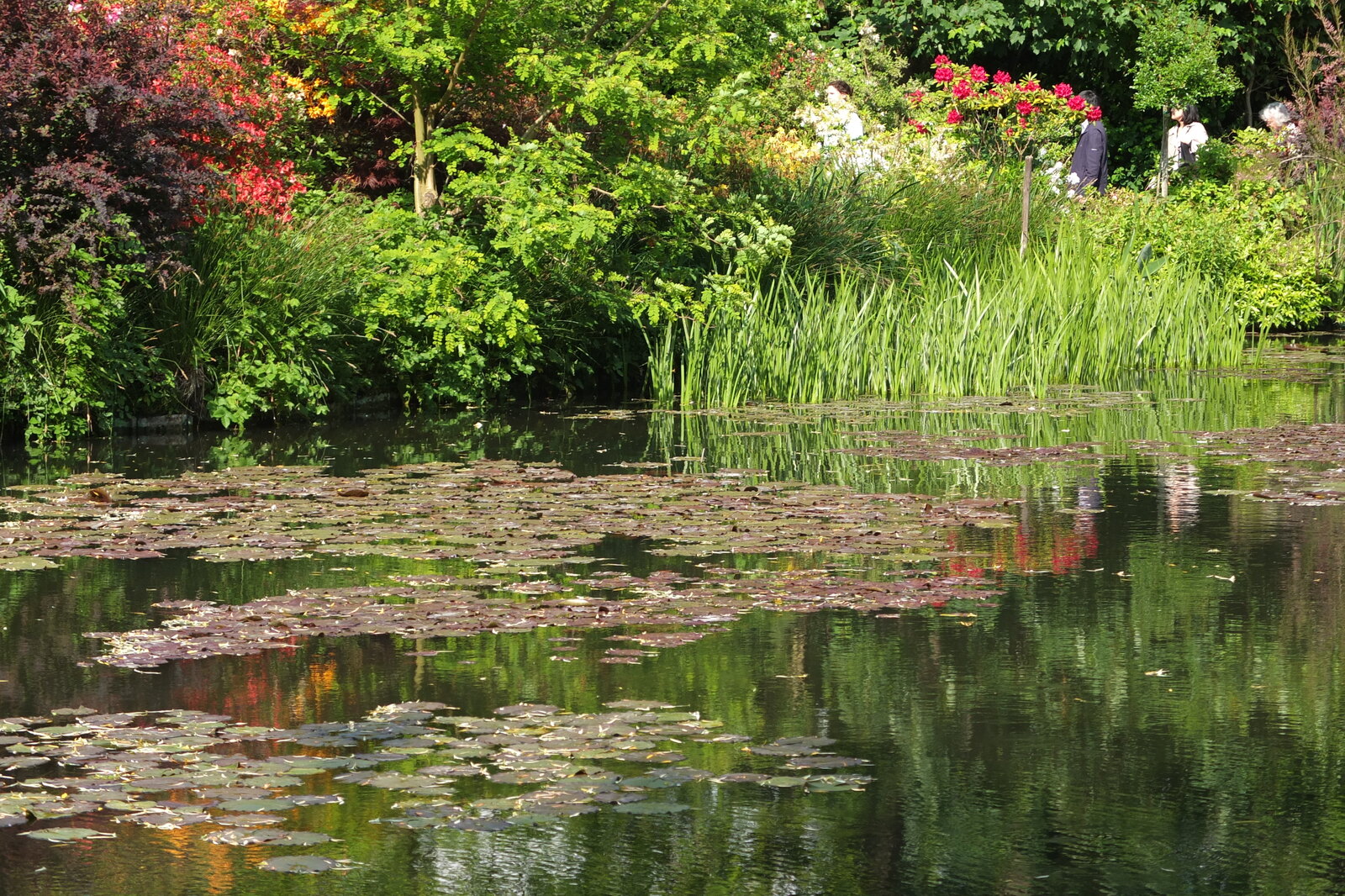 Photo France Giverny 2013-06 159