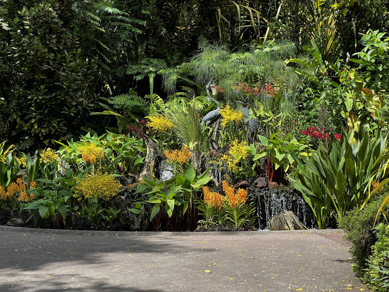 Photo Singapour Jardins botaniques de Singapore 2023-01 50