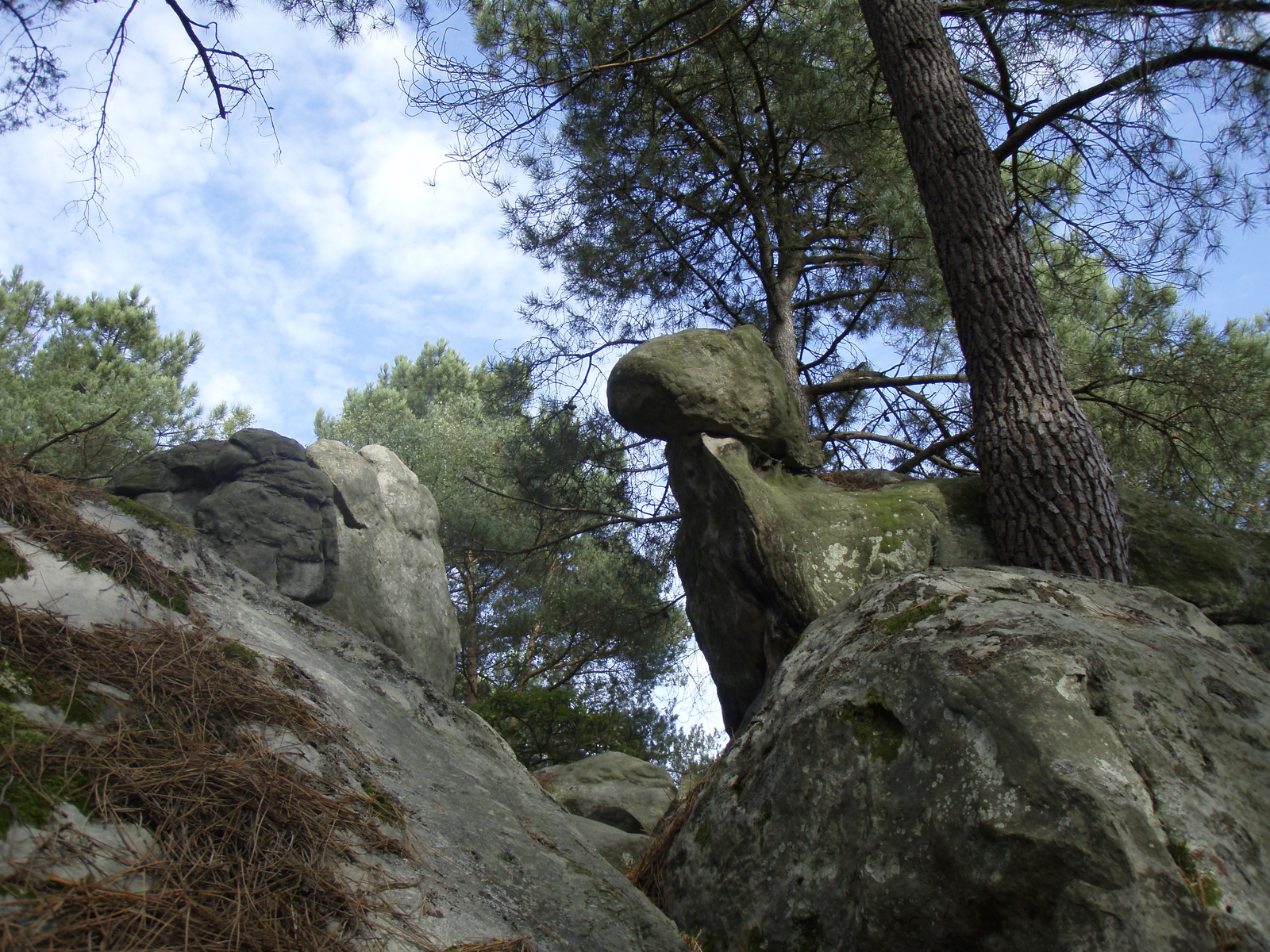 Photo France Fontainebleau Circuit des 25 bosses 2007-08 103
