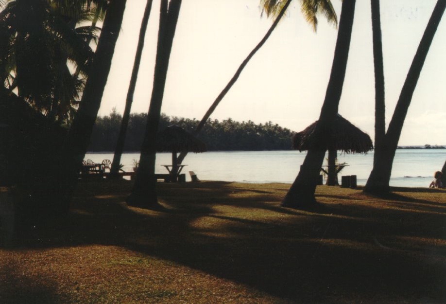 Photo Polynésie Mooréa 1993-04 49